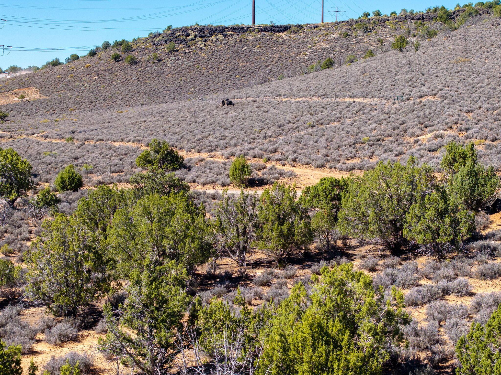 St George, Utah, 84770, United States, ,Residential,For Sale,1984319