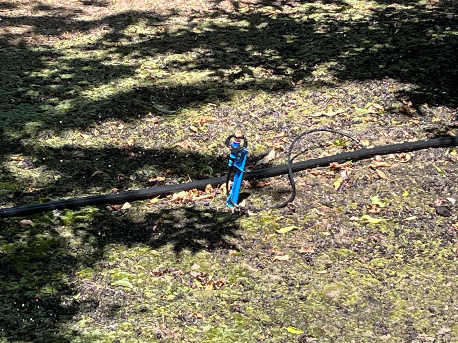 Livingston, California, 95334, United States, 4 Bedrooms Bedrooms, ,3 BathroomsBathrooms,Residential,For Sale,1978085