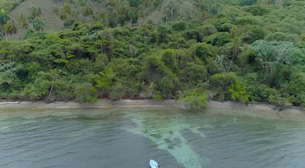 Samana, DO, ,Land,For Sale,1403639