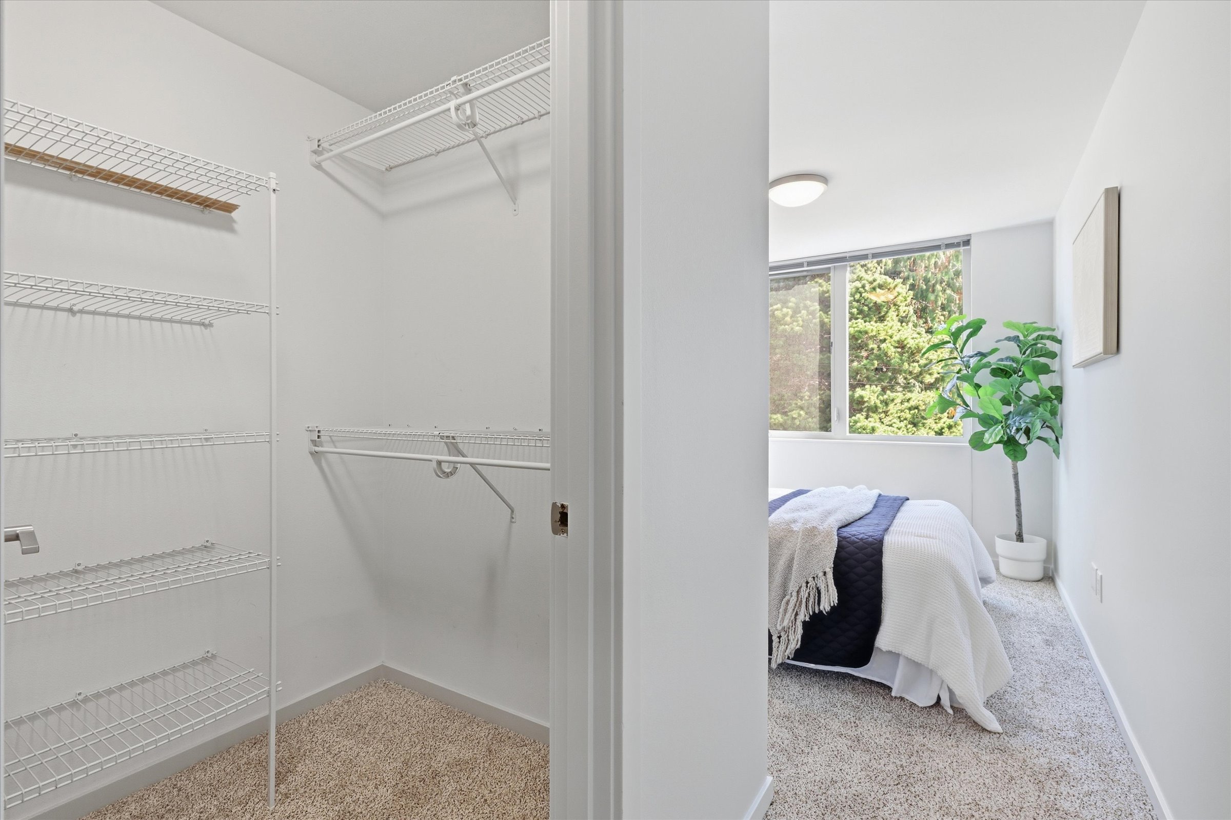  2421 Wickstrom Place SW, Seattle, WA 98116 - 物件實景