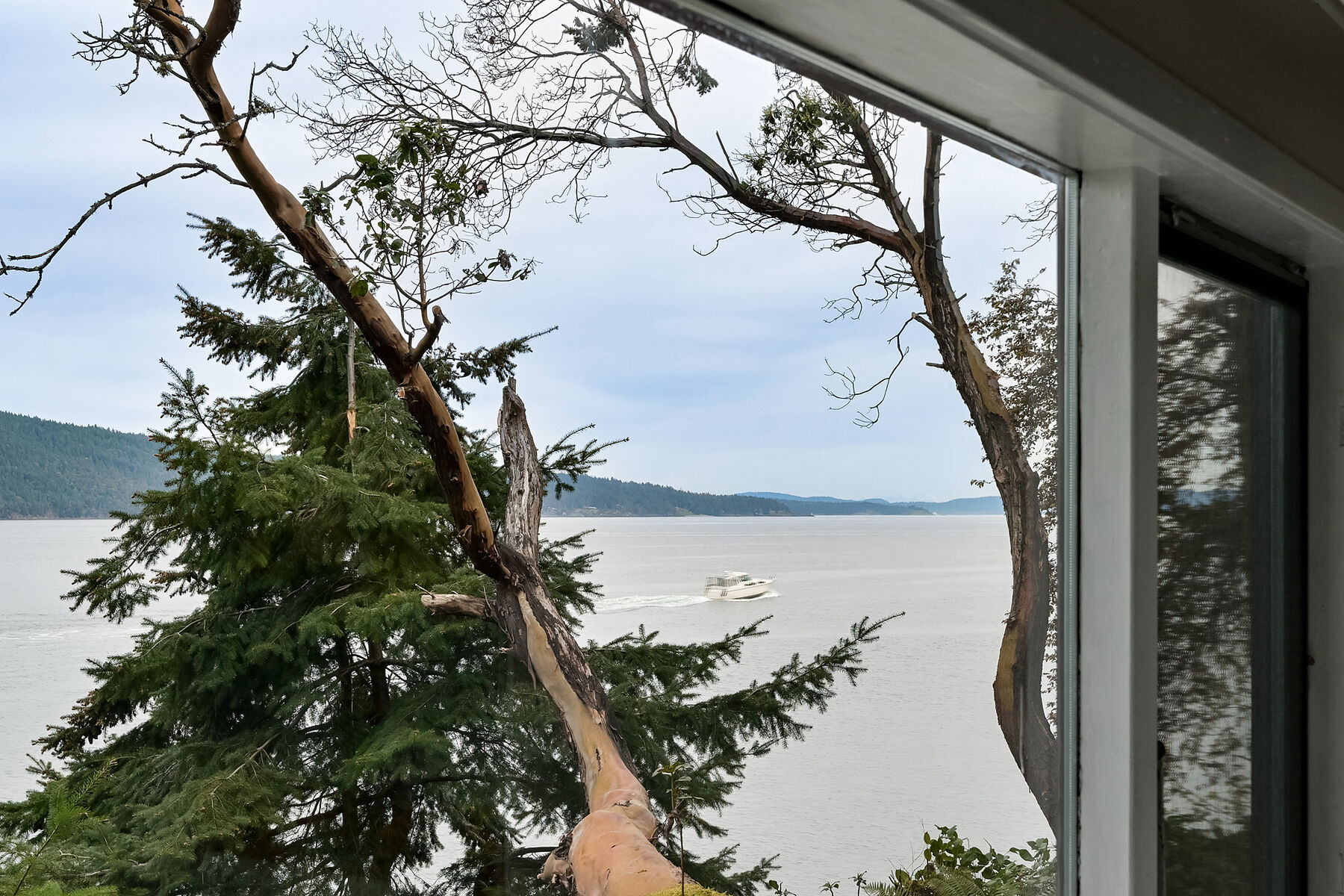  Serene Woodland Charm - 物件實景