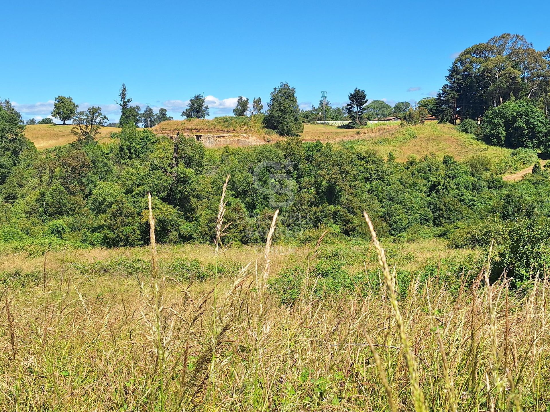 Osorno, Chile, ,Land,For Sale,1972838