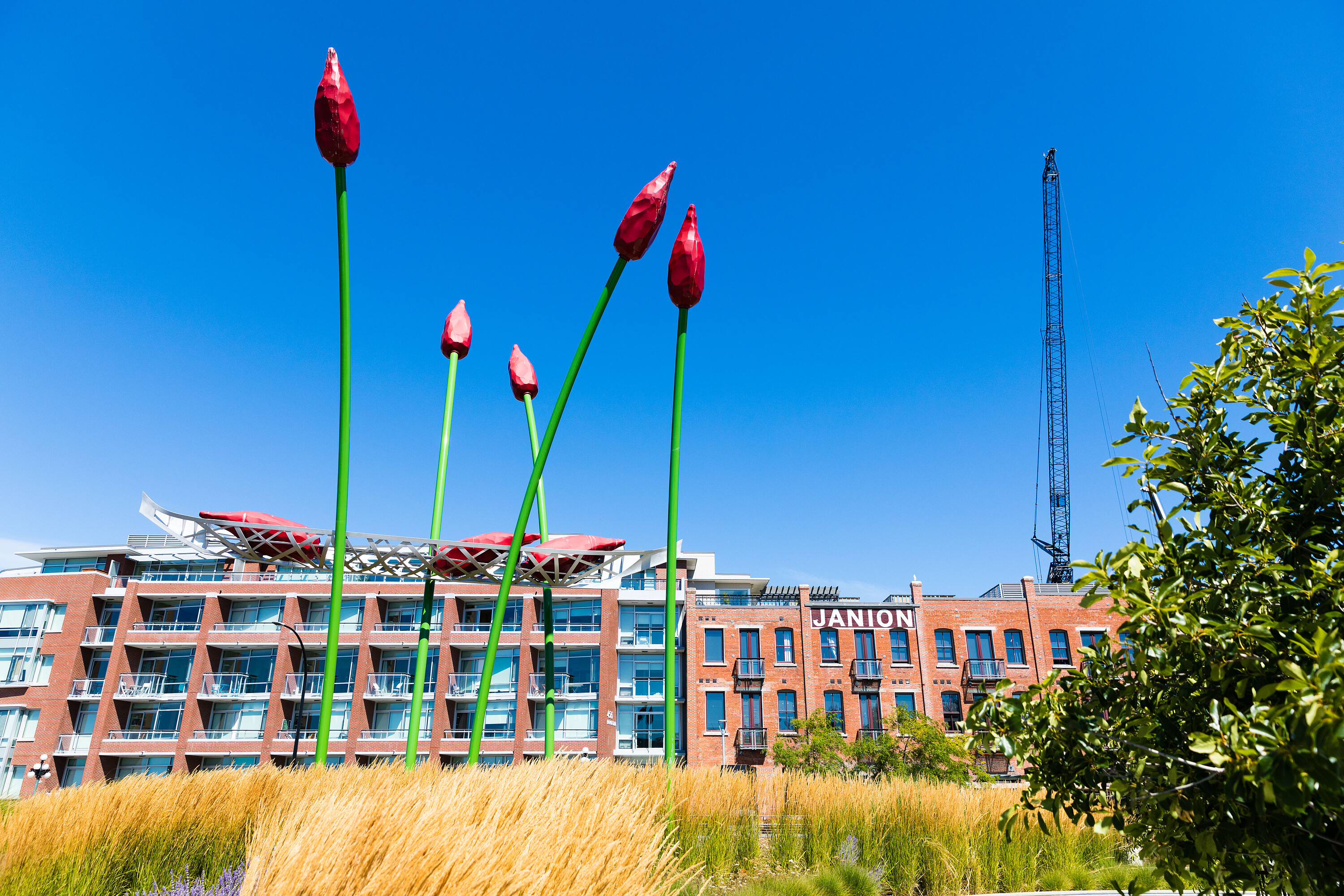  Your Dream Urban Oasis - 物件實景