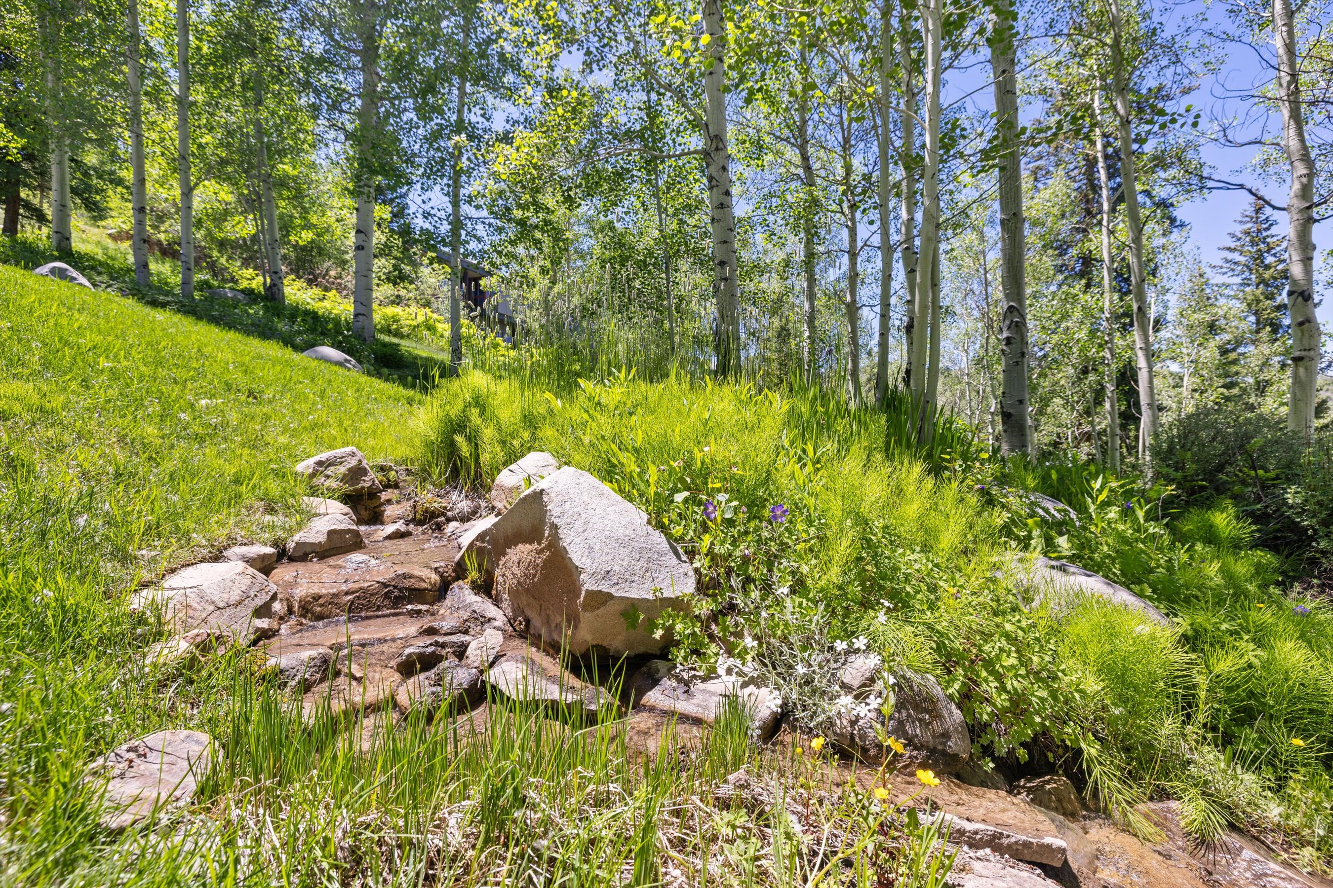  142 Aspen Way, Snowmass Village, CO, 81615 - 物件實景