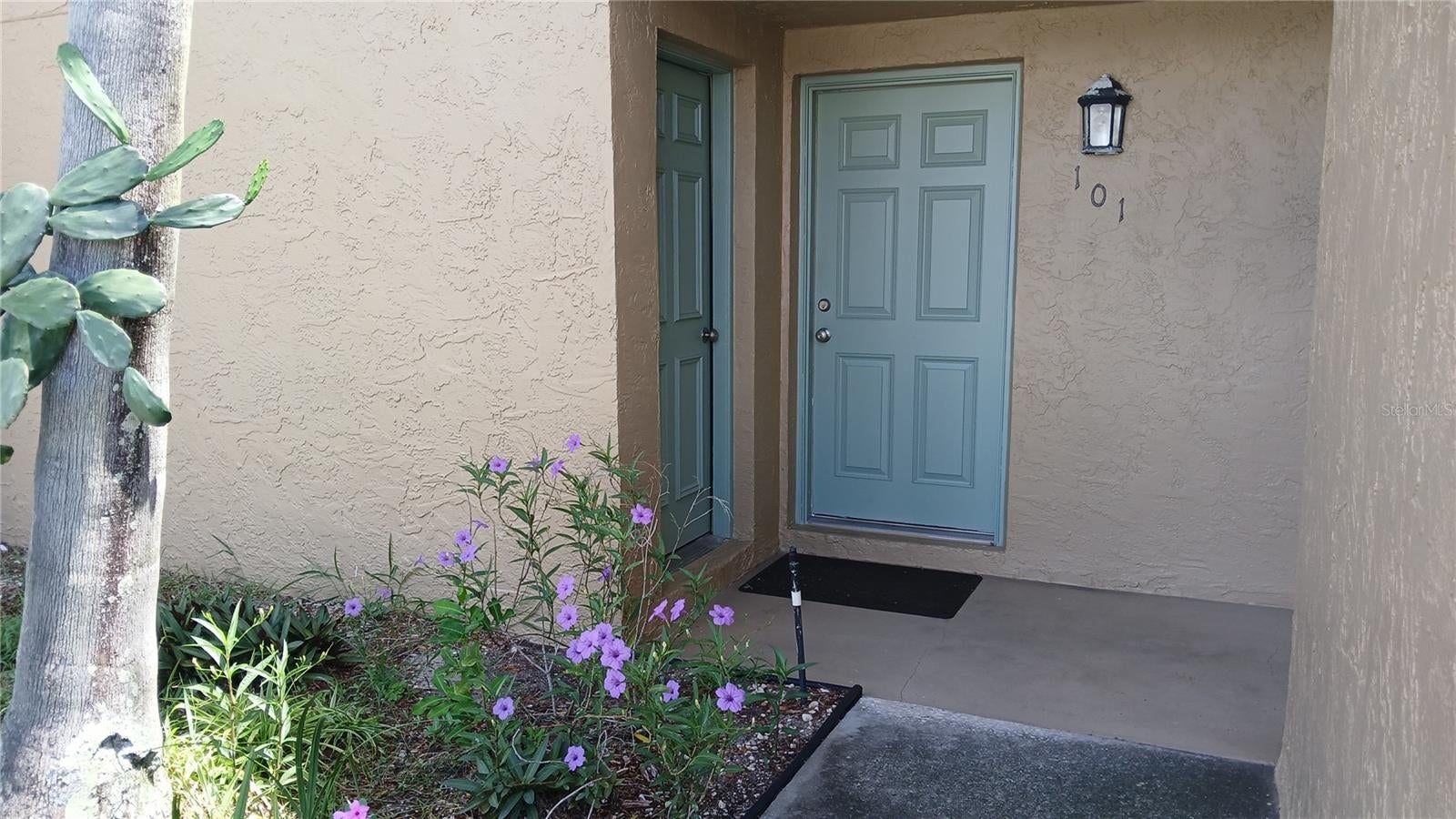 Park Blvd, Seminole, FL 33772 #1