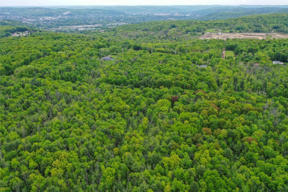 Vestal, New York, 13850, United States, ,Residential,For Sale,1935631