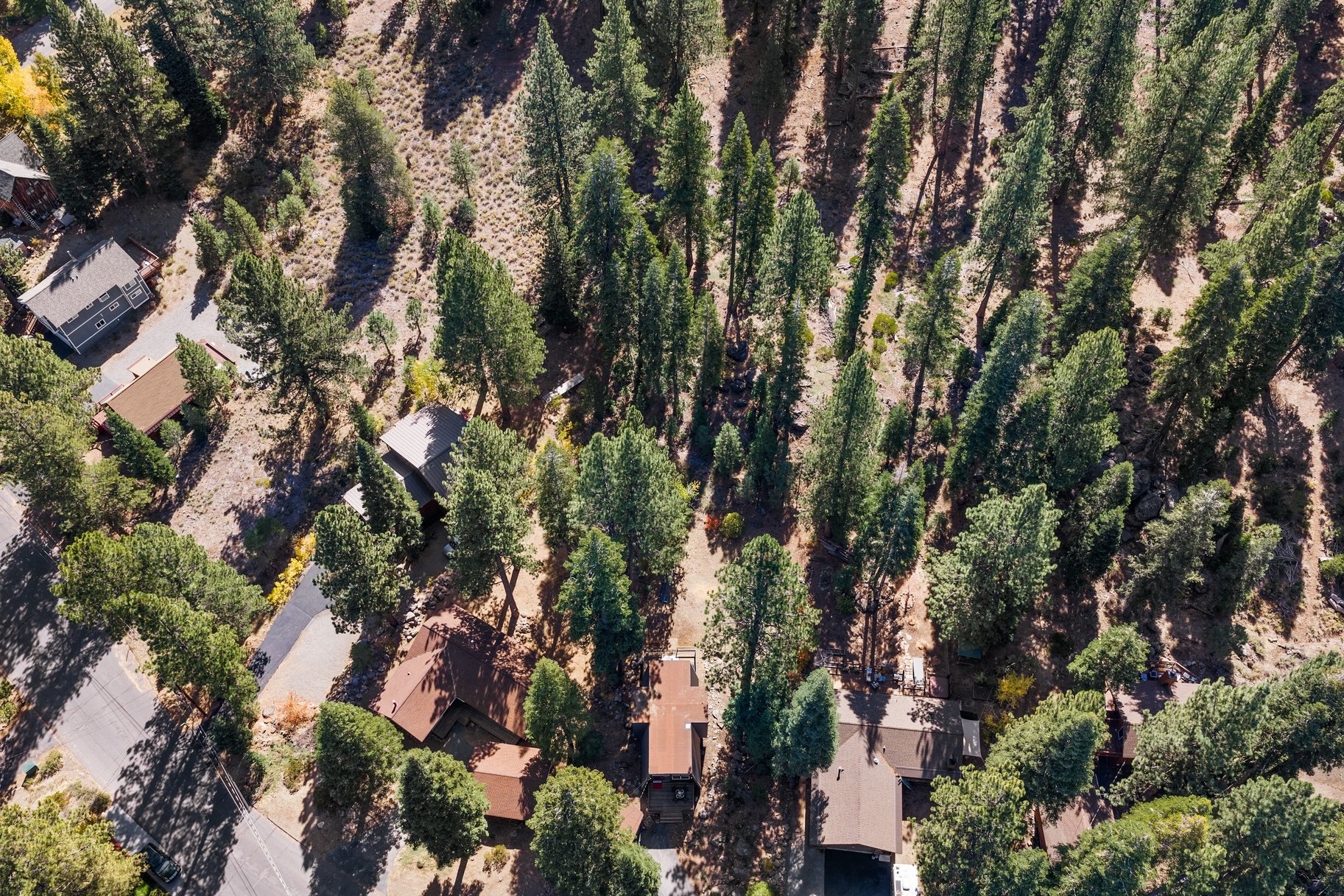  Modern Mountain Retreat Backing to Forest Service Land - 物件實景