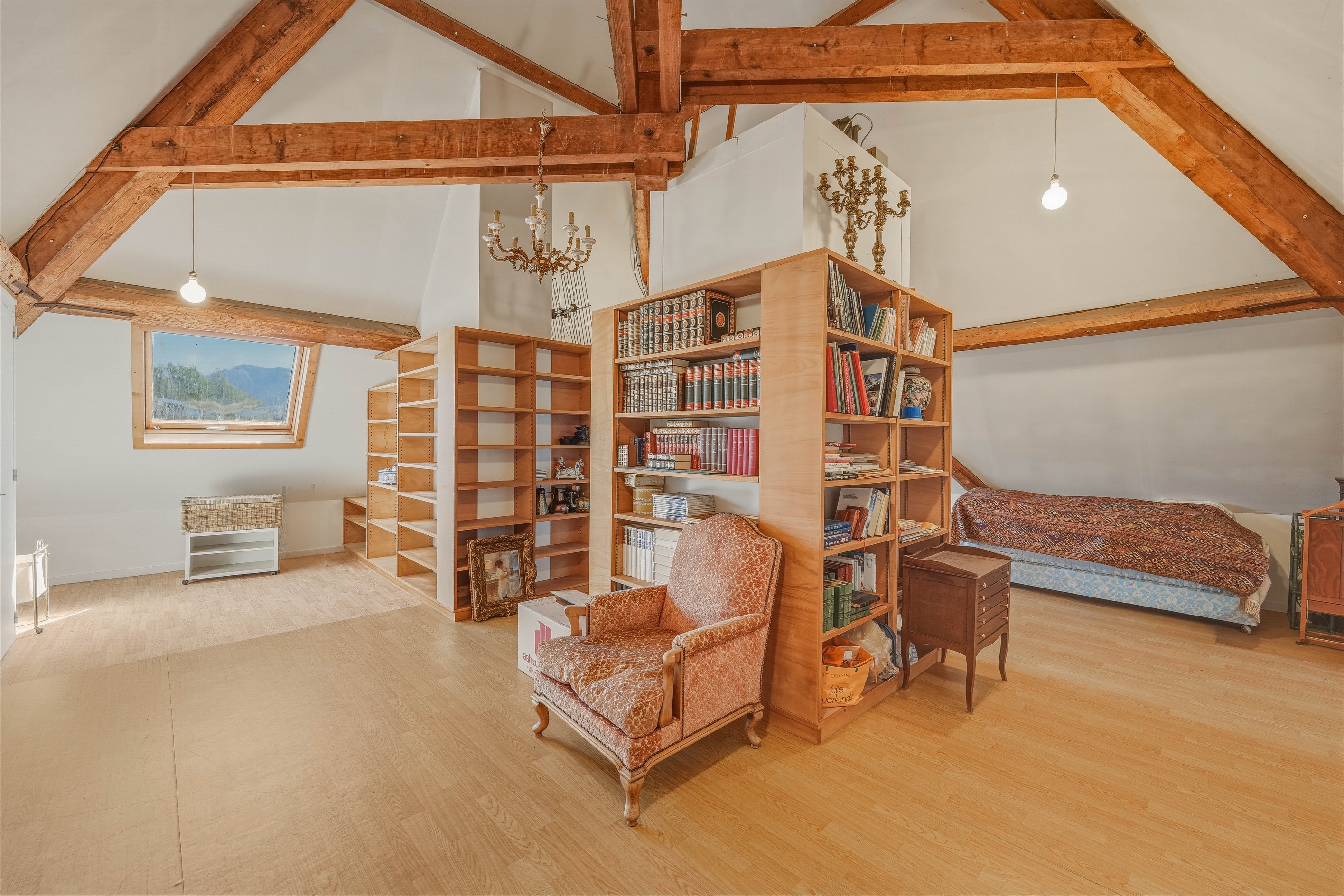  Thonon-les-Bains Character villa on the Corniche - 物件實景