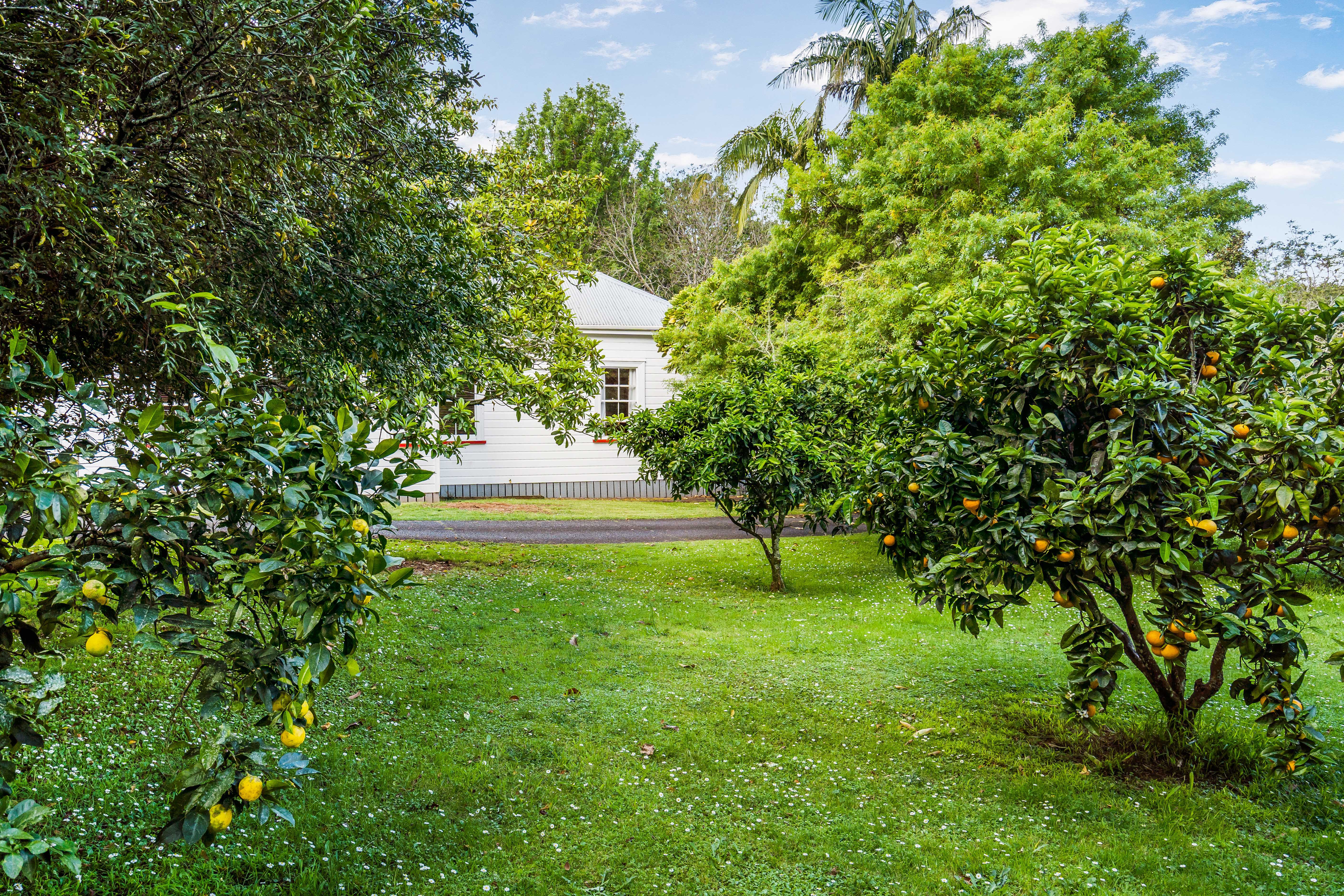 555 Ngunguru Road, Glenbervie, Northland, New Zealand - 物件實景