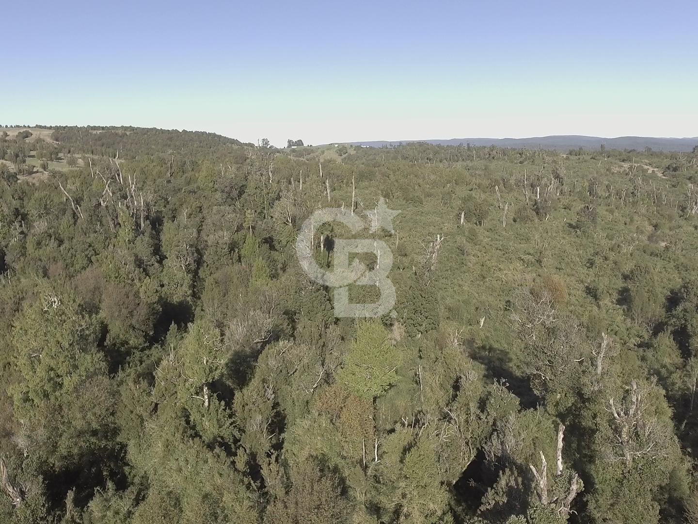 Ancud, Chile, ,Residential,For Sale,1993248