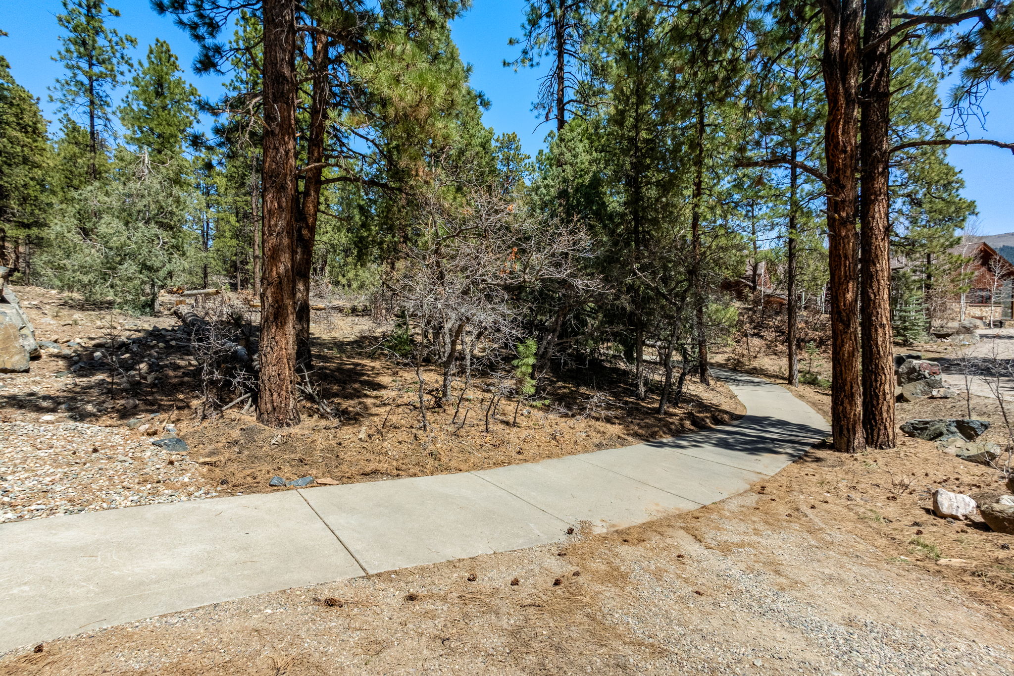  91 Ambush Canyon, Durango, CO 81301 - 物件實景
