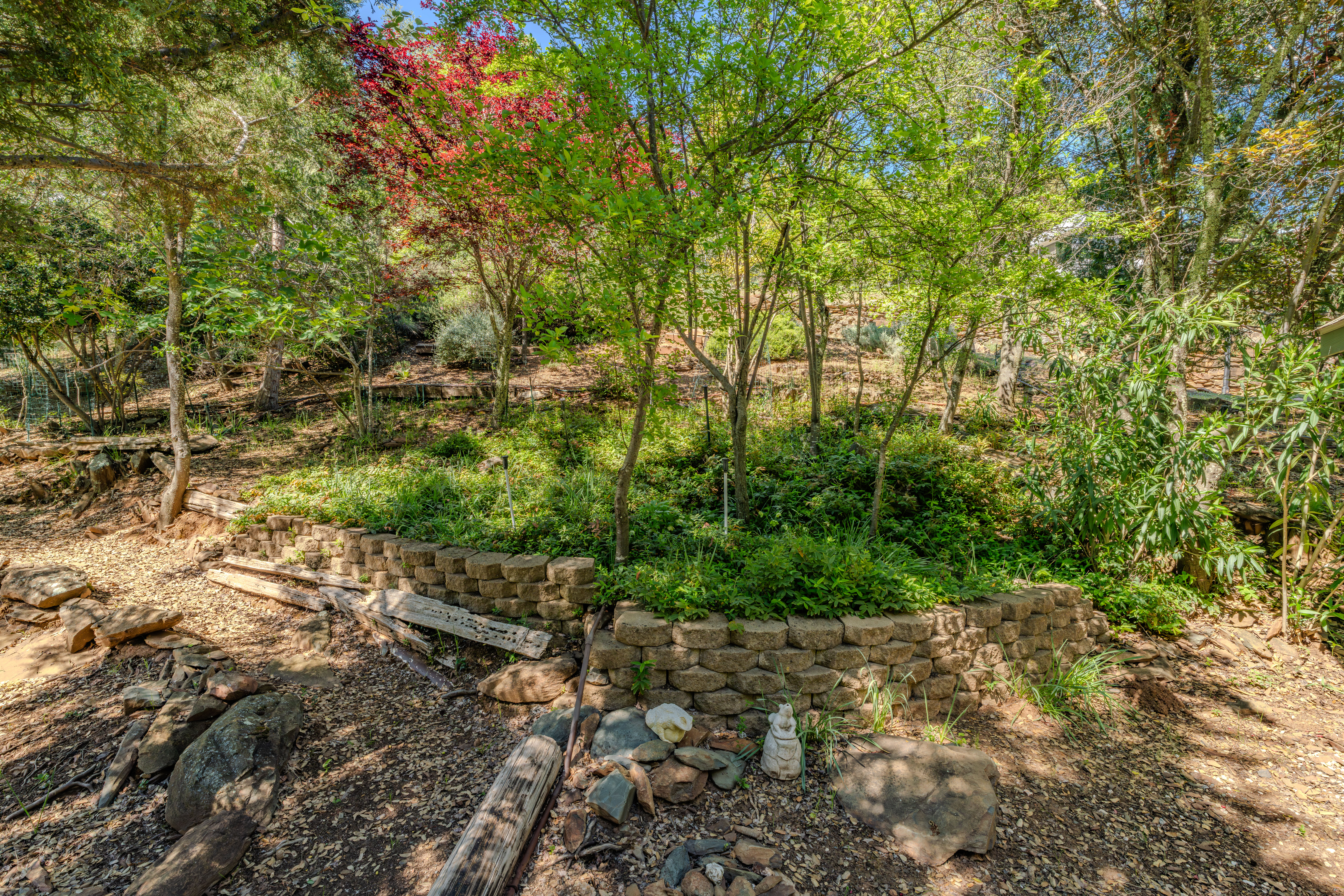  11030 Amador Creek Road, Amador City, CA 95601 - 物件實景