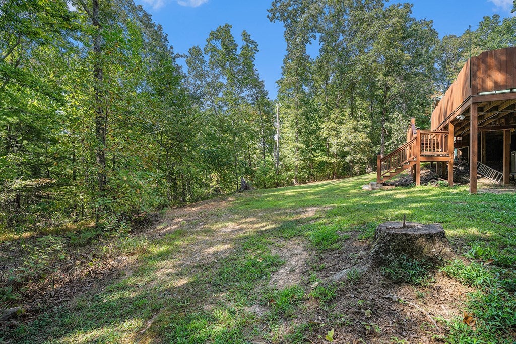 Blue Ridge, Georgia, 30513, United States, 6 Bedrooms Bedrooms, ,4 BathroomsBathrooms,Residential,For Sale,1858999