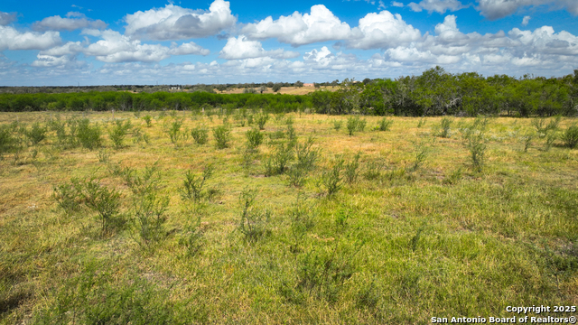 Nixon, Texas, 78140, United States, ,Residential,For Sale,1988320