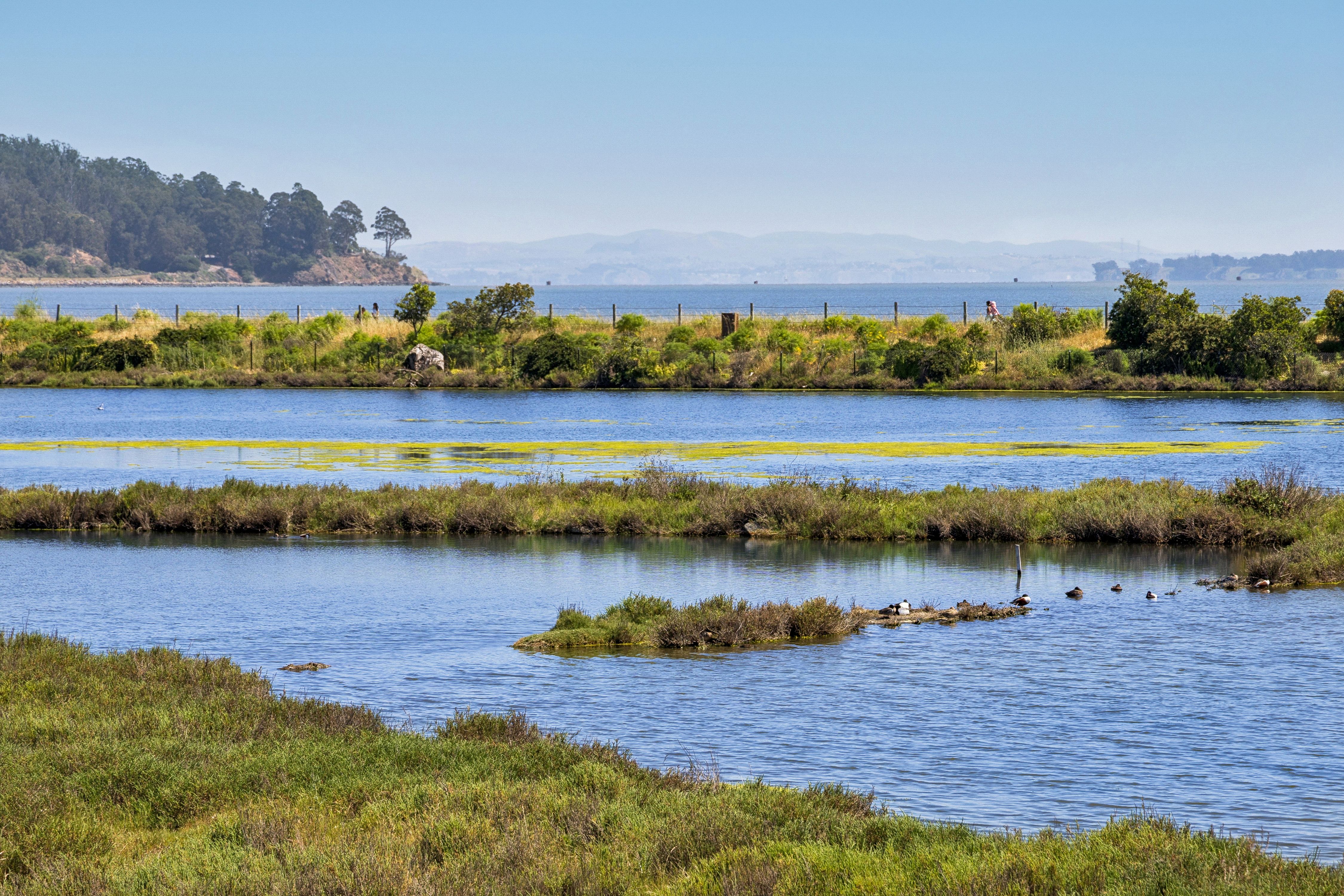 Sunny Waterfront Baypoint Lagoon Home - 物件實景