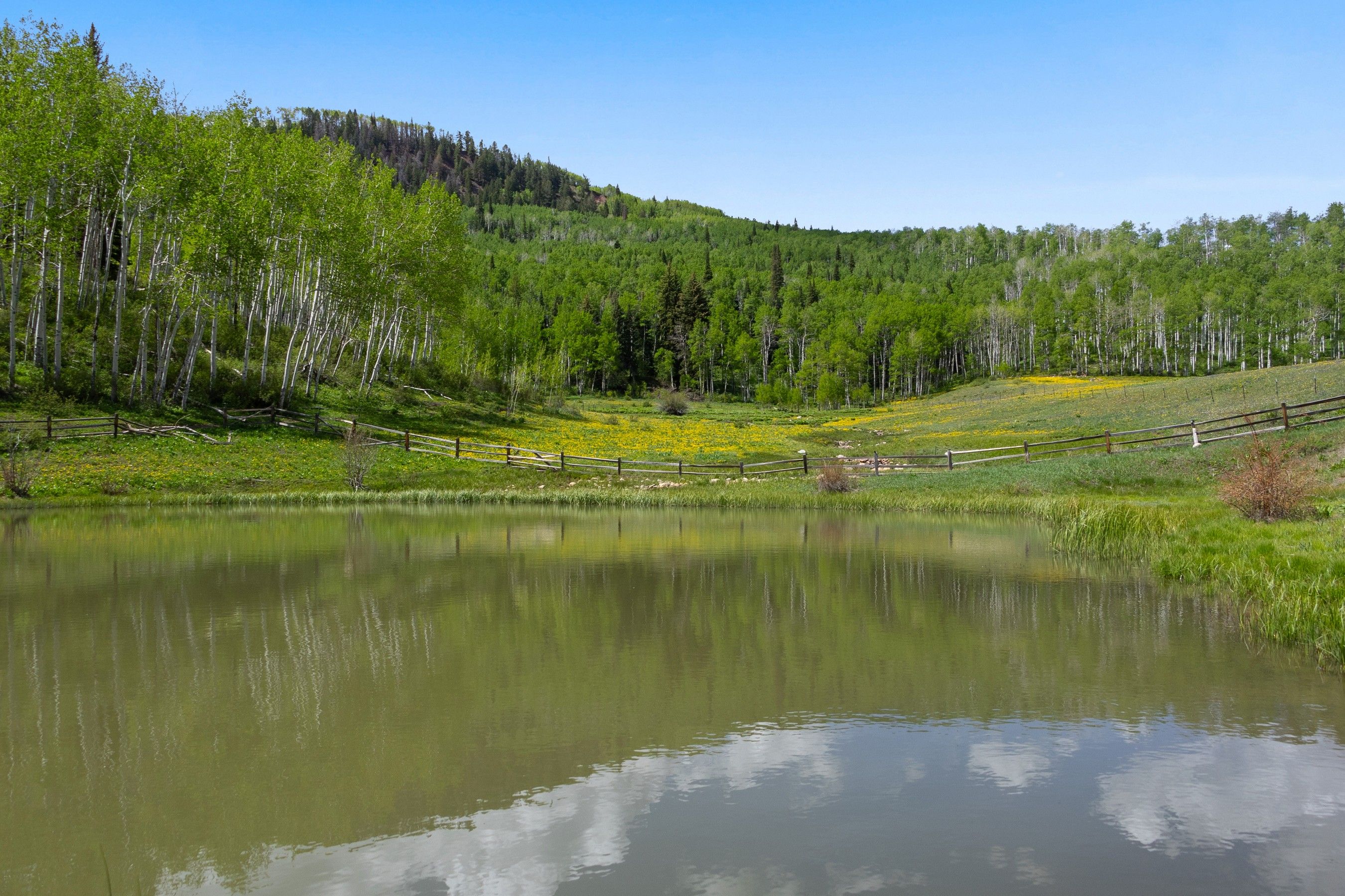  6855 Capitol Creek Road, Snowmass, CO 81654 - 物件實景