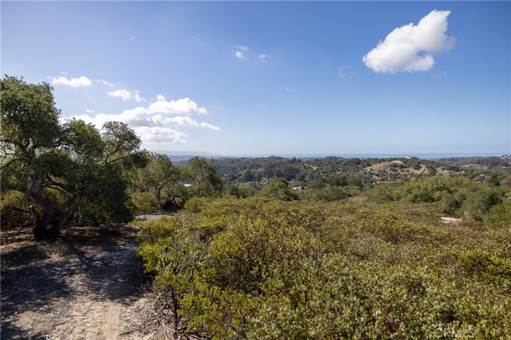 Arroyo Grande, California, 93420, United States, ,Land,For Sale,1977865