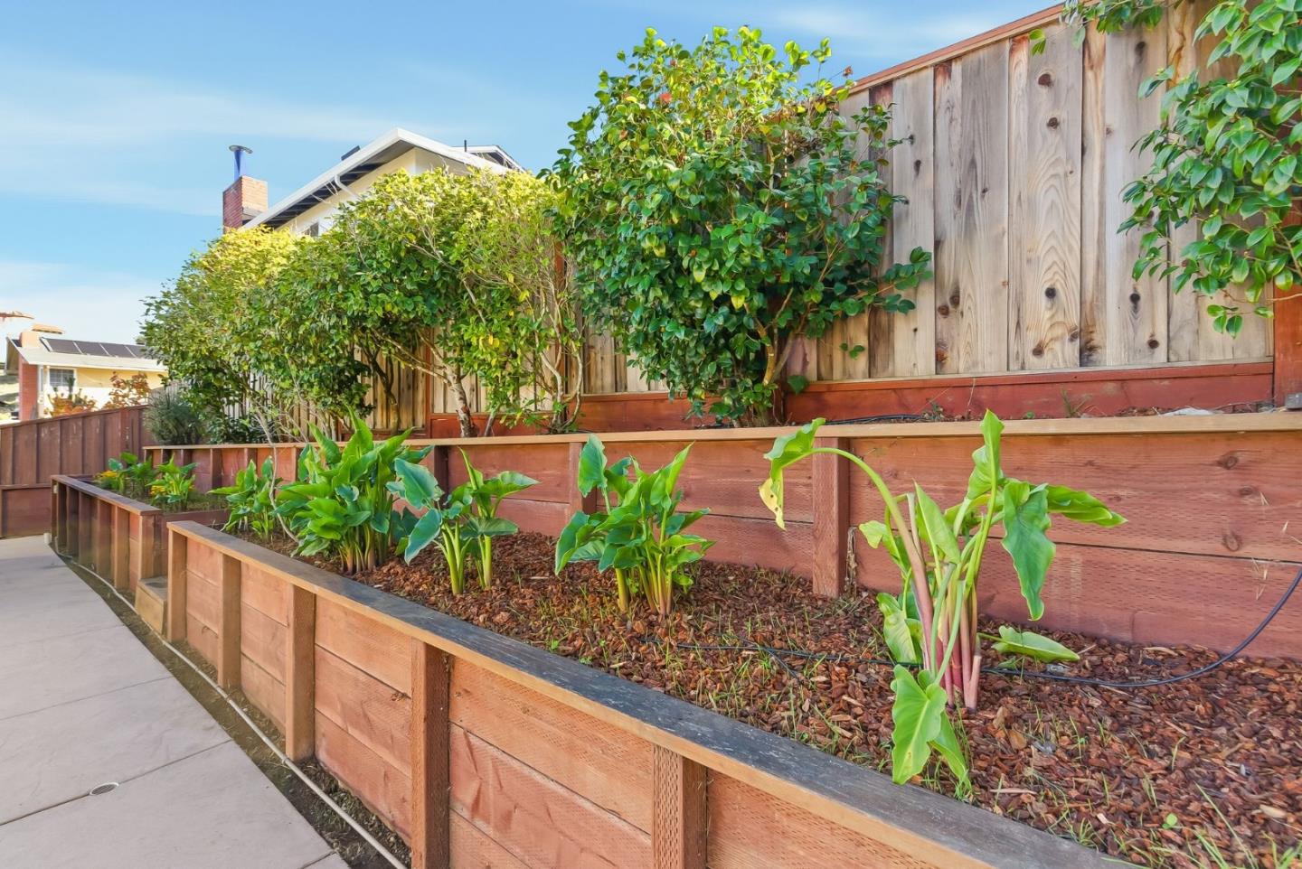 Millbrae, California, 94030, United States, 3 Bedrooms Bedrooms, ,3 BathroomsBathrooms,Residential,For Sale,1986526