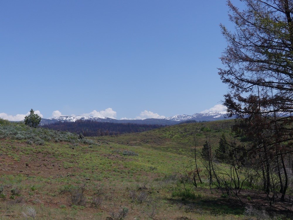 Indian Valley, Idaho, 83682, United States, ,Land,For Sale,1976667