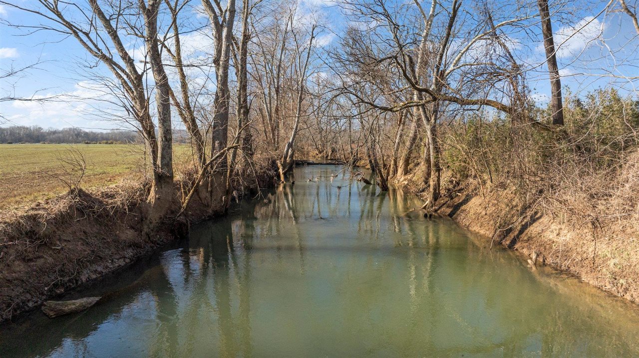 Lewisburg, Kentucky, 42256, United States, ,Land,For Sale,1688645