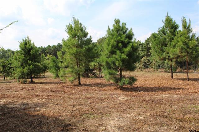 Henderson, Texas, 75652, United States, ,Land,For Sale,1978065