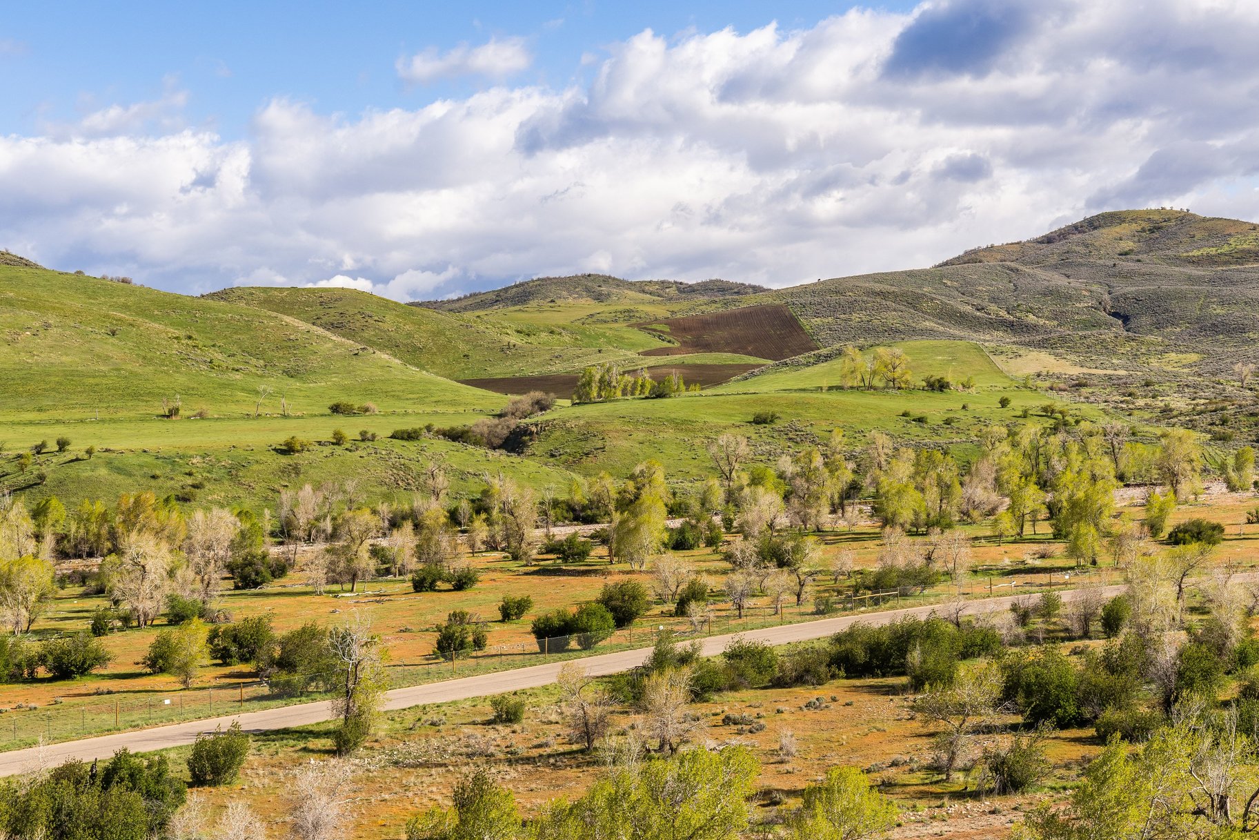  .88 Acre Lot in Mtn. Green with Unobstructed Snowbasin Views - 物件實景
