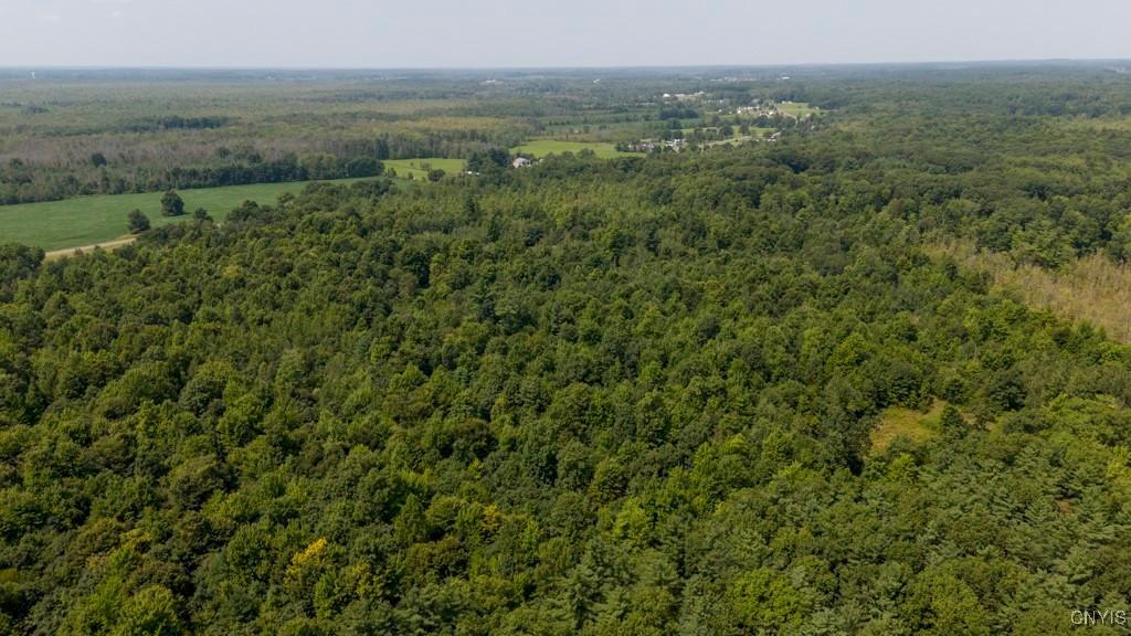 00 Cr-12, Pennellville, New York, 13132, United States, ,Land,For Sale,00 Cr-12,1621343