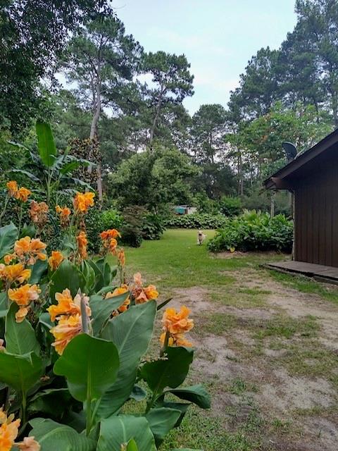 Conroe, Texas, 77304, United States, 3 Bedrooms Bedrooms, ,3 BathroomsBathrooms,Residential,For Sale,1692653