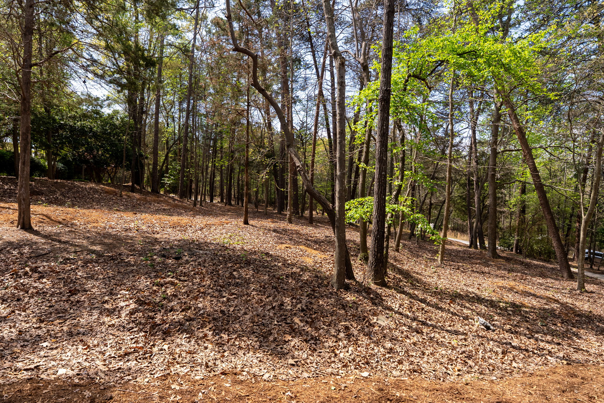 1002 Whitfield Point Road, Anderson, SC 29626 - 物件實景