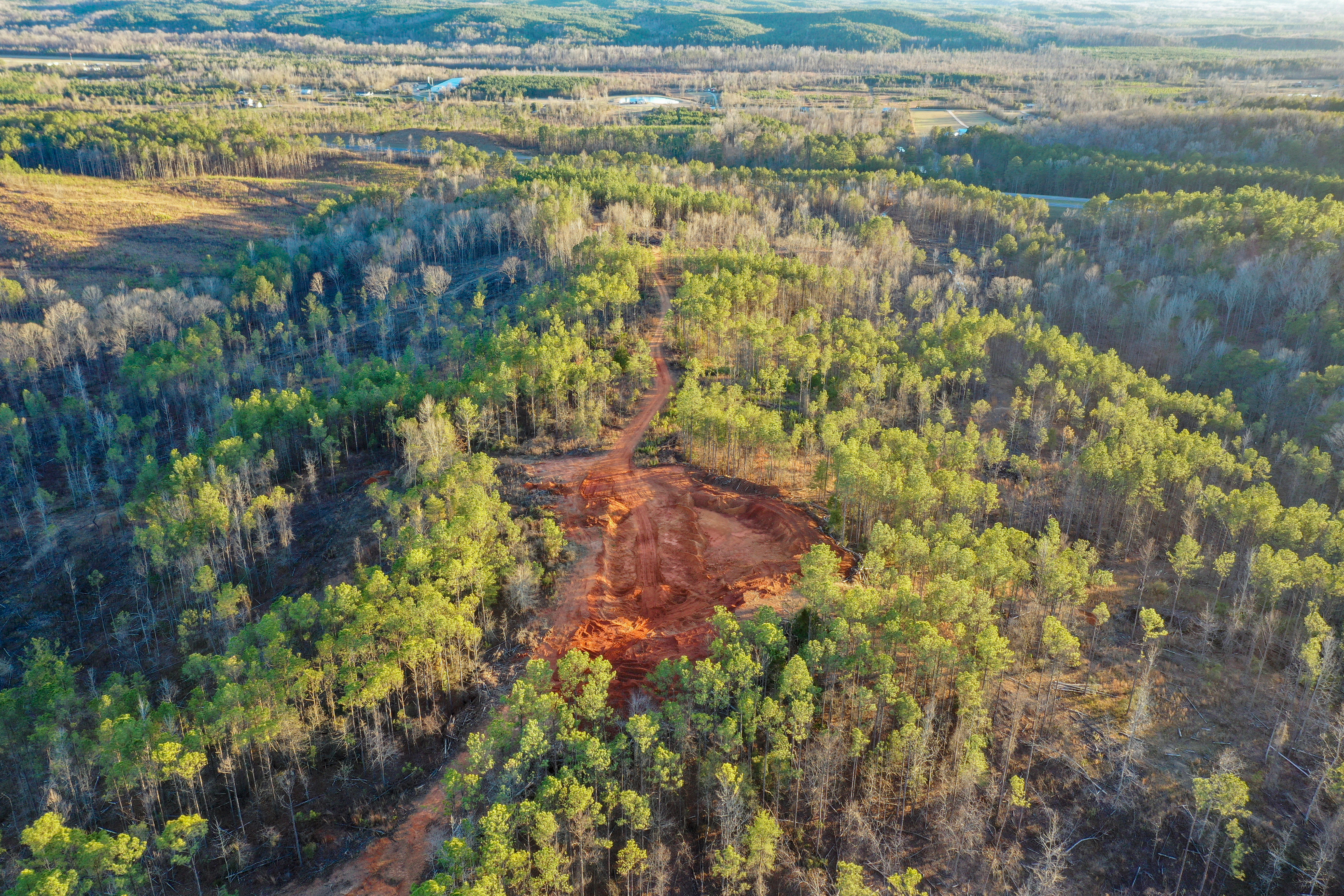 Centreville, Alabama, 35042, United States, ,Land,For Sale,2010430