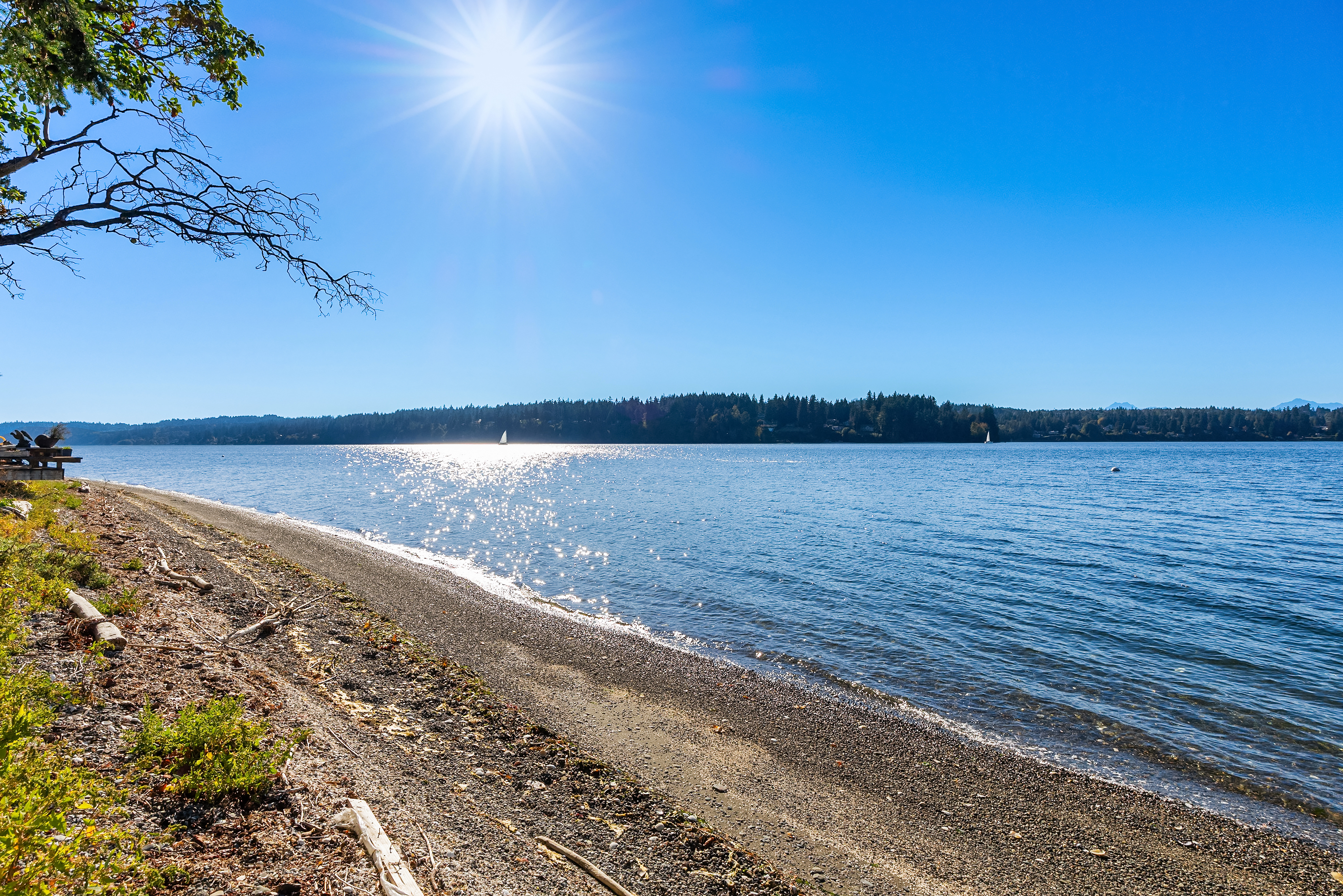  8405 Hansen Road Northeast, Bainbridge Island, WA 98110 - 物件實景