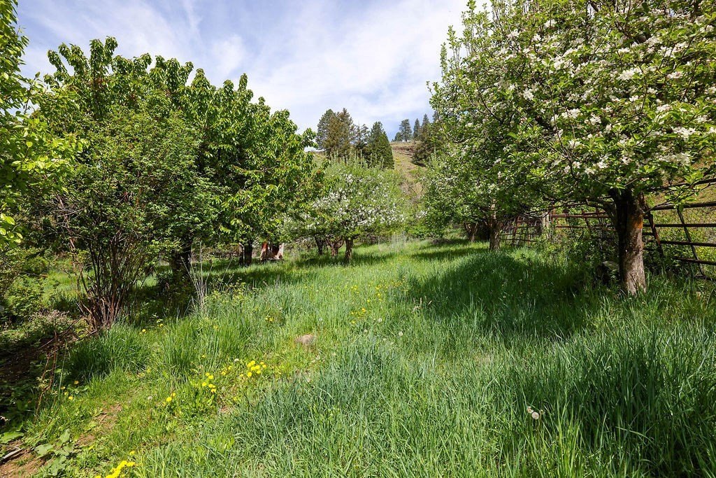 Riggins, Idaho, 83549, United States, 2 Bedrooms Bedrooms, ,1 BathroomBathrooms,Residential,For Sale,1825339
