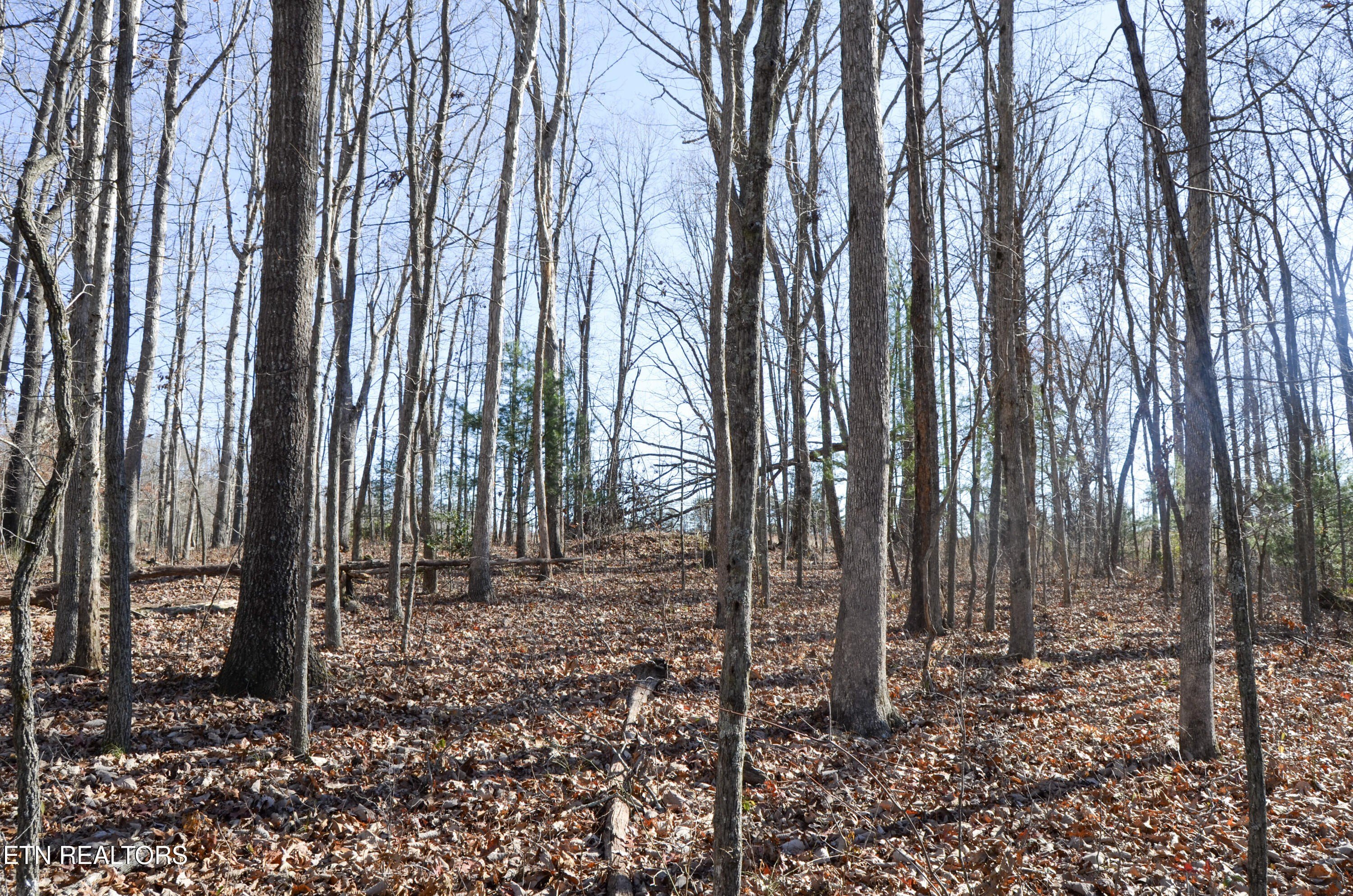 Crossville, Tennessee, 38555, United States, ,Land,For Sale,1978266