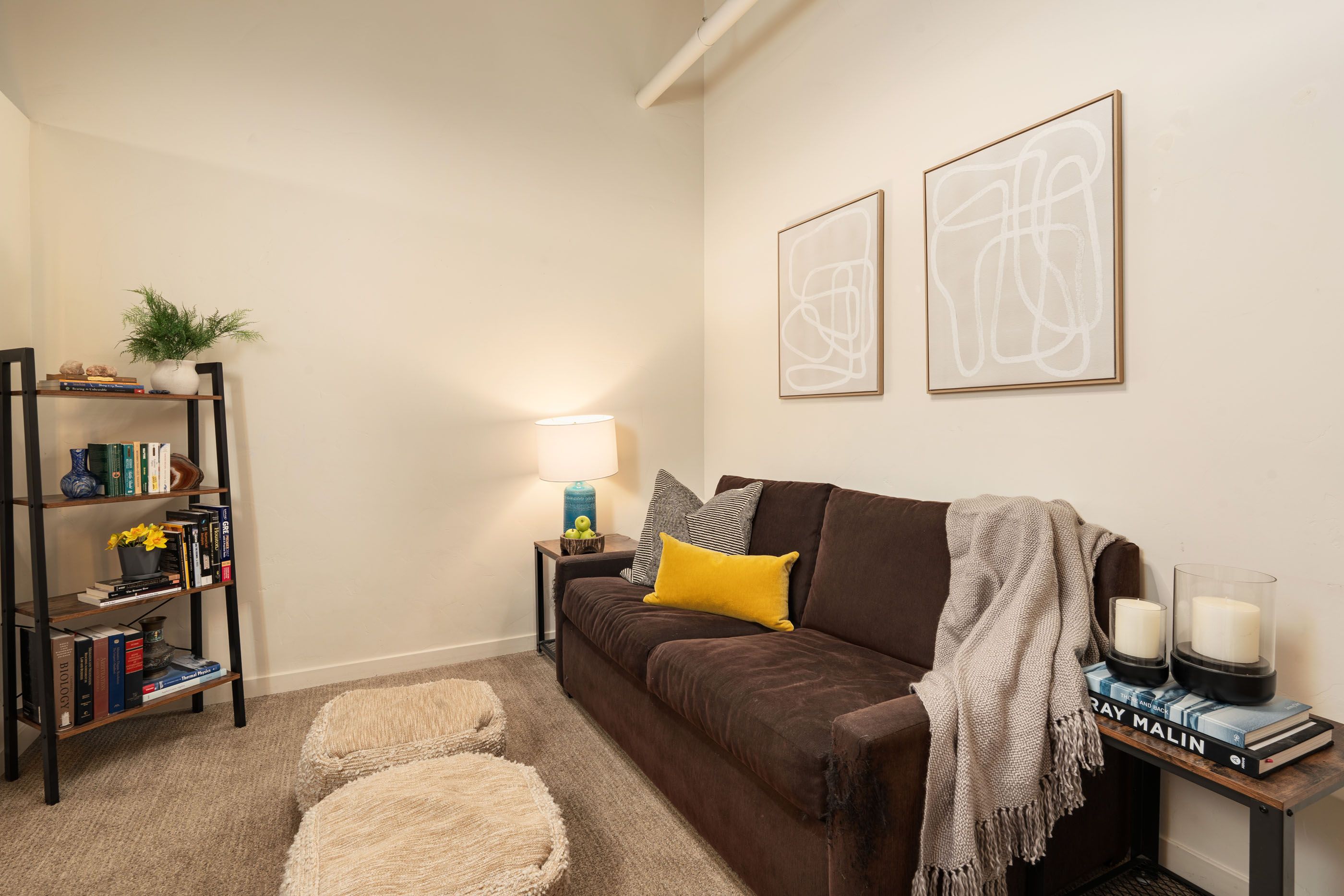  231 Robinson Street, Basalt, CO, 81621 - 物件實景