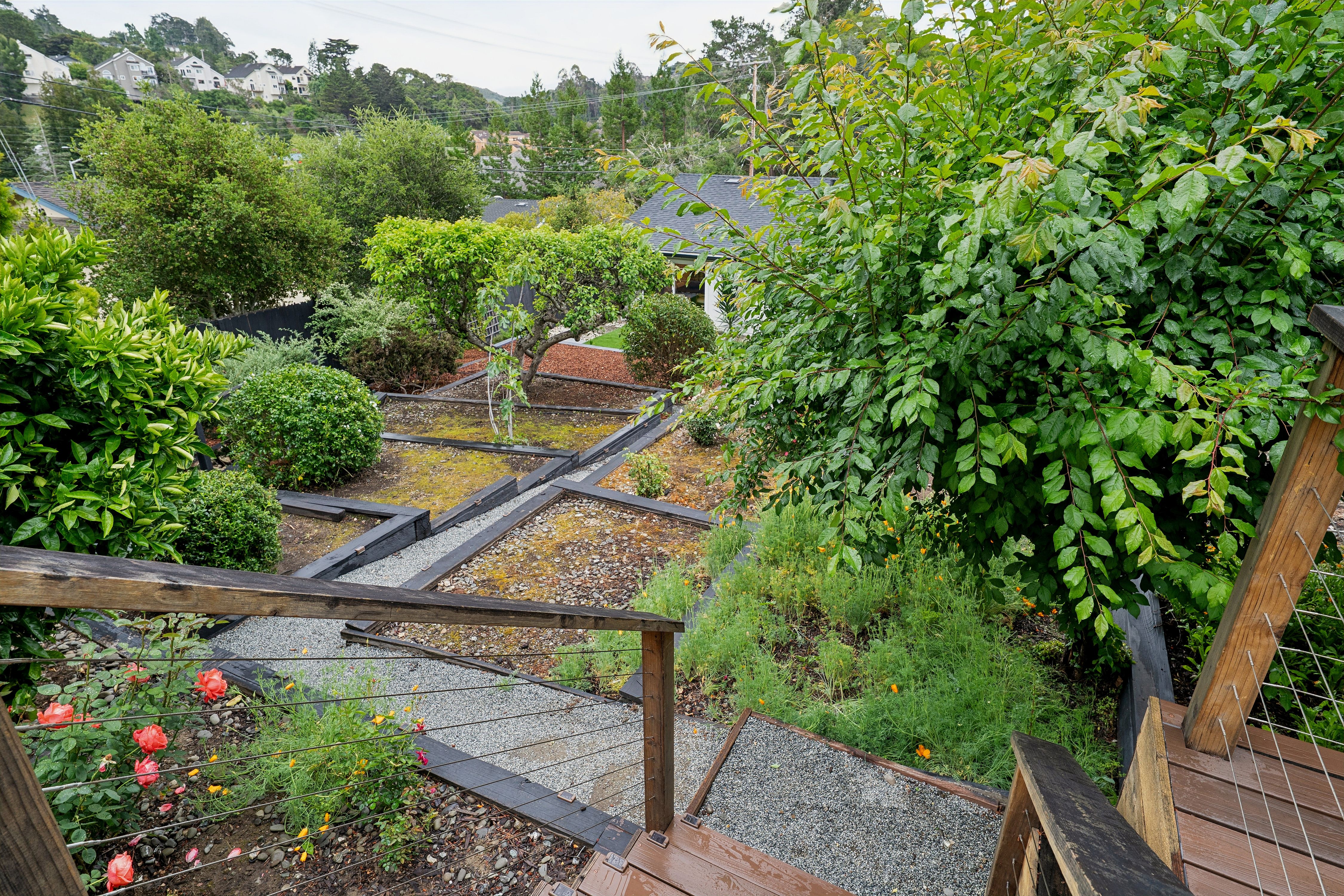  Contemporary San Mateo Single Story Remodeled in 2023 - 物件實景