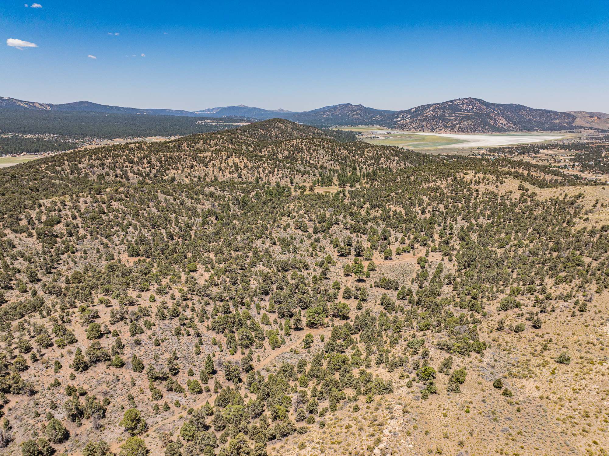  550 Eagle Ridge Road, Big Bear Lake, CA 92314 - 物件實景
