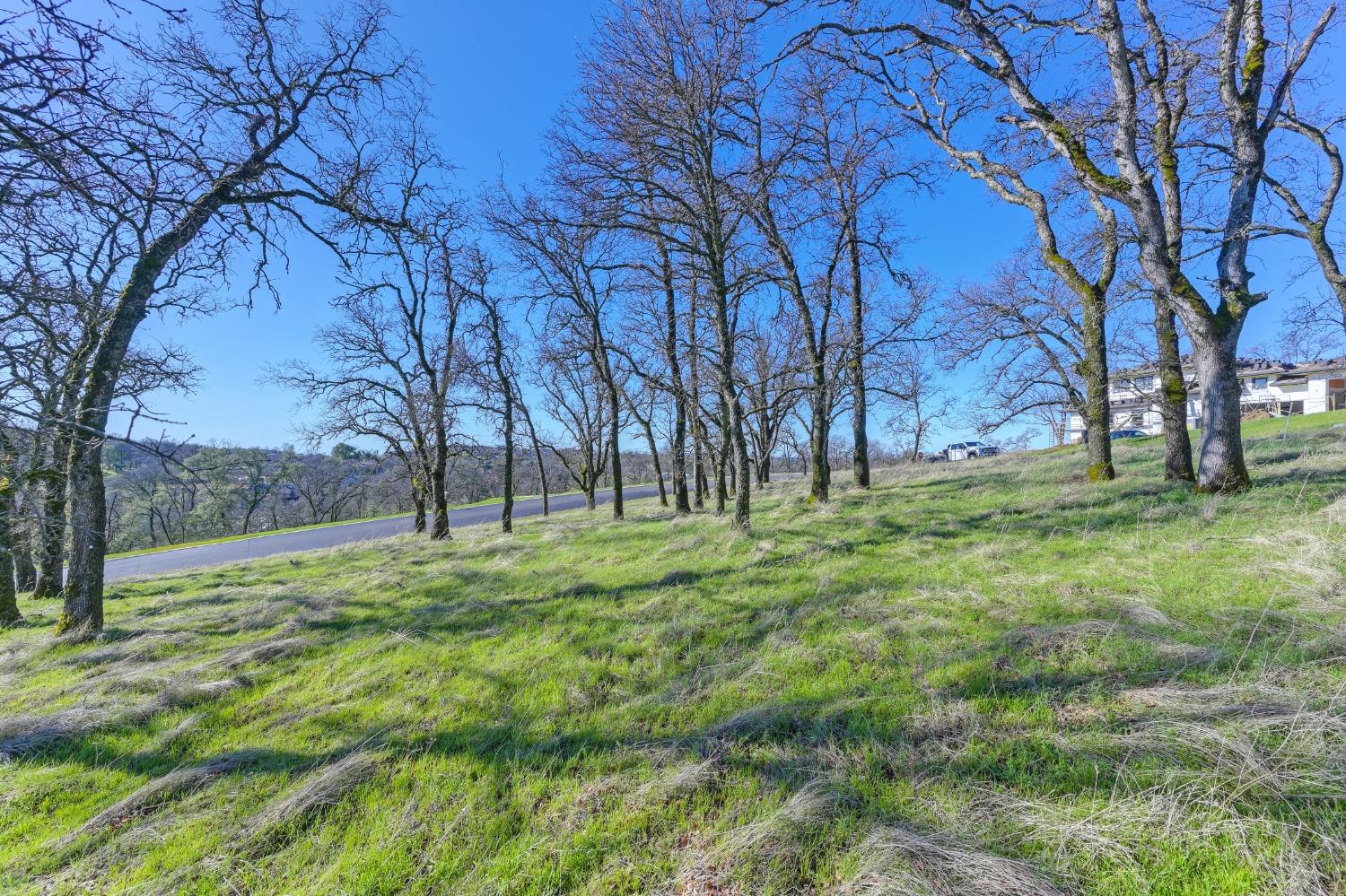El Dorado Hills, California, 95762, United States, ,Land,For Sale,1709053