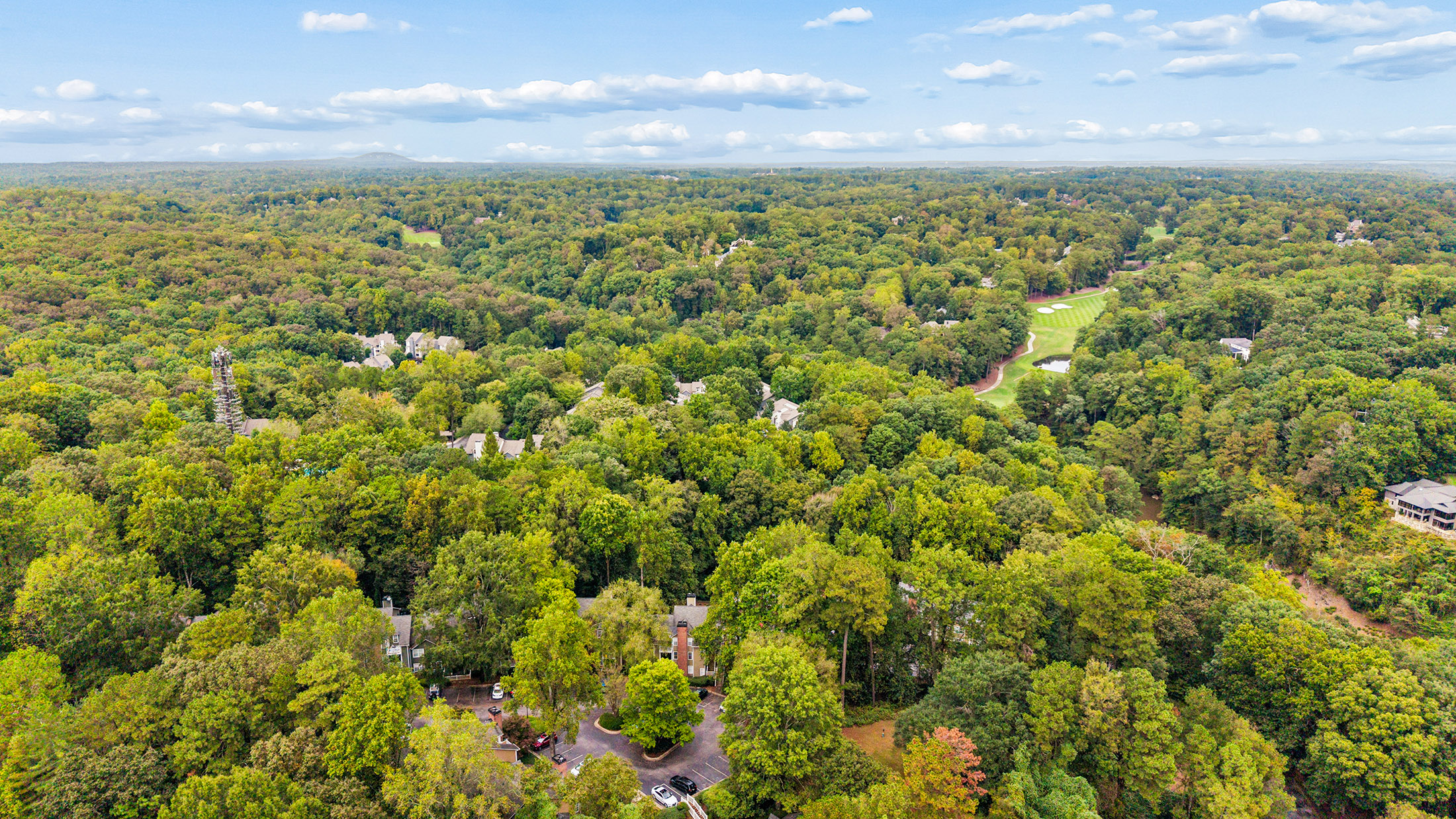  Peaceful Living in the Heart of East Cobb - 物件實景