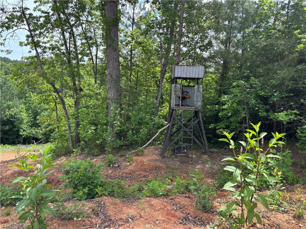 Pinnacle, North Carolina, 27043, United States, ,Land,For Sale,1829534