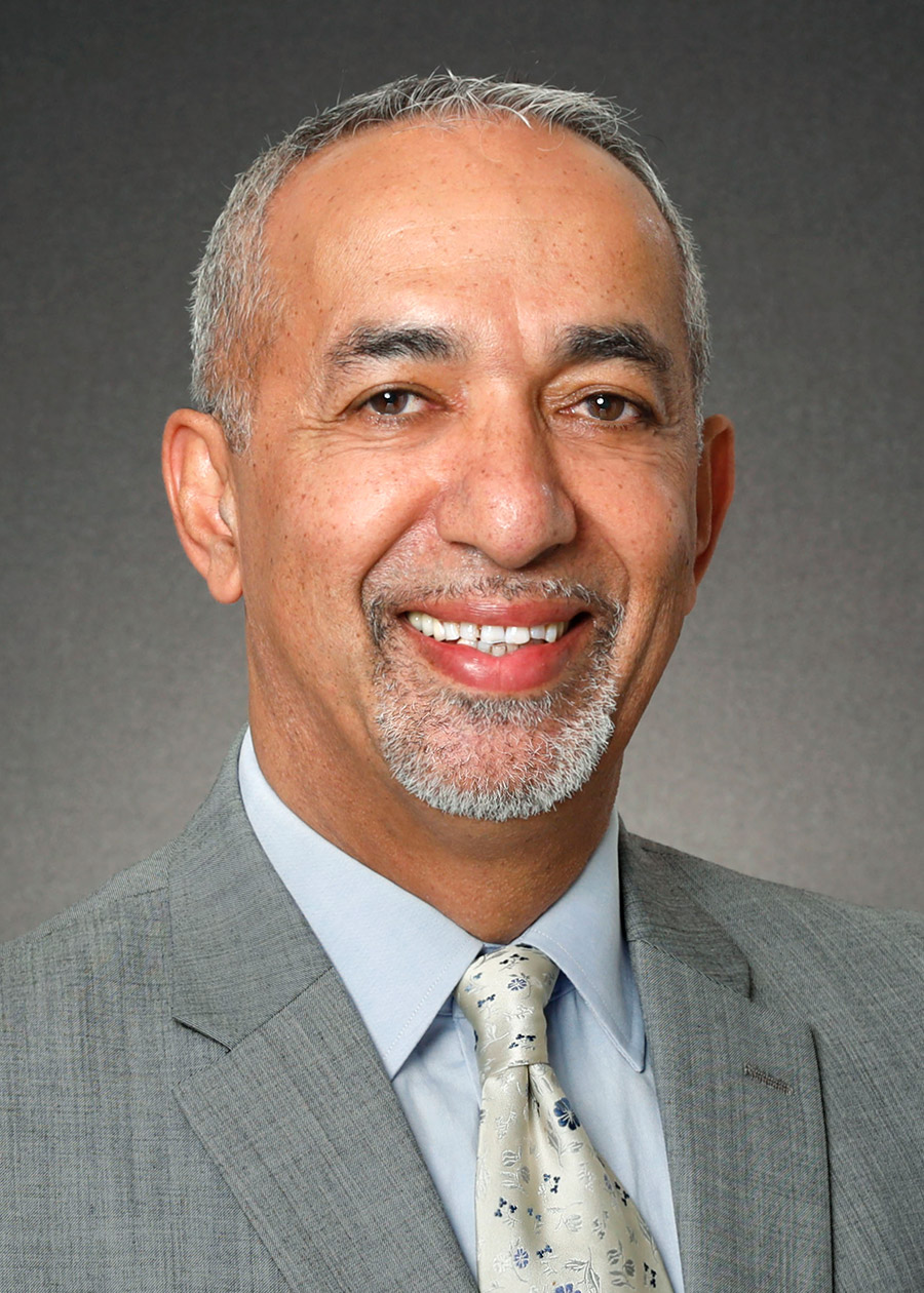Hamid Karimi