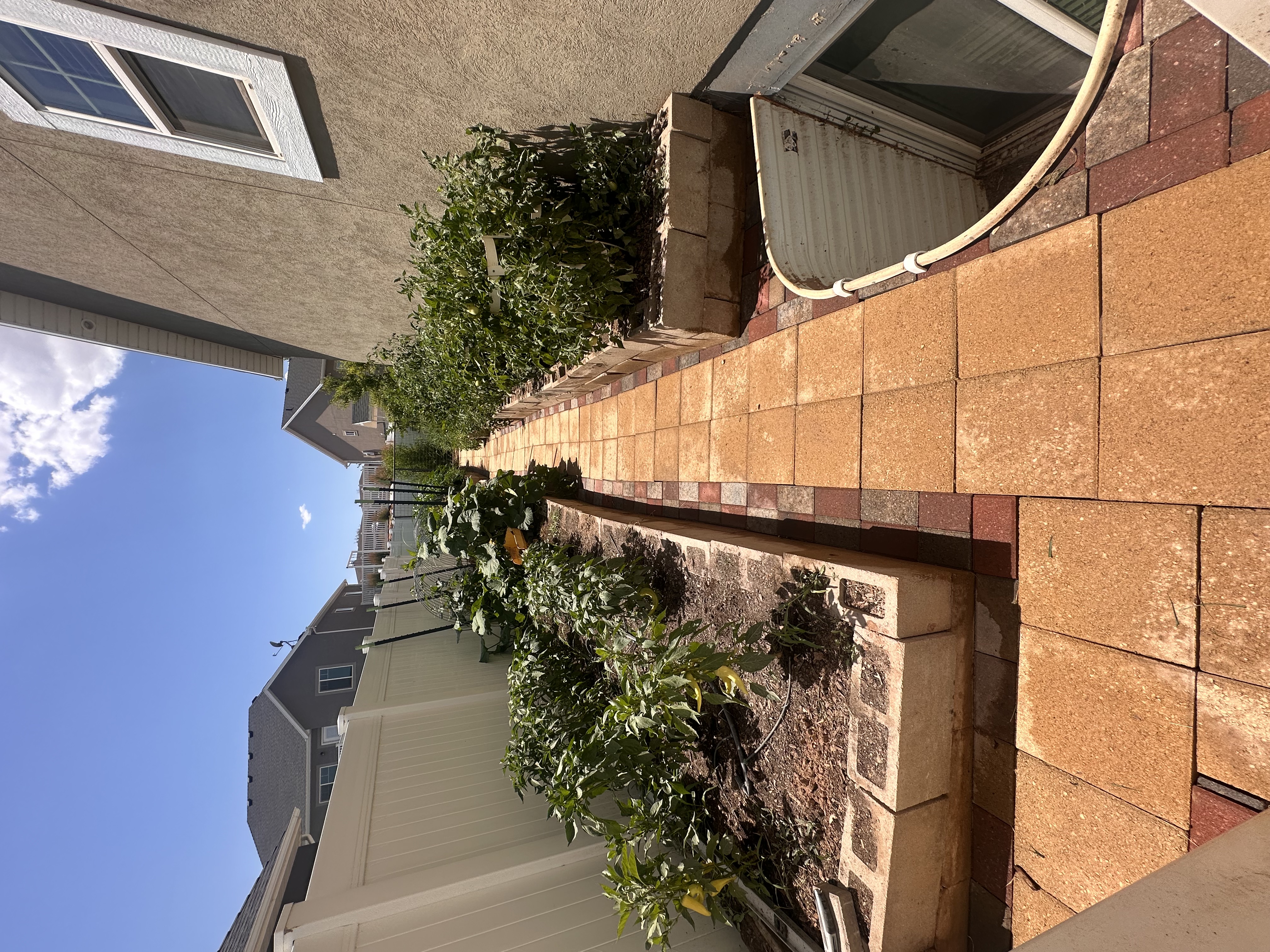 Roosevelt, Utah, 84066, United States, 6 Bedrooms Bedrooms, ,3 BathroomsBathrooms,Residential,For Sale,1976583