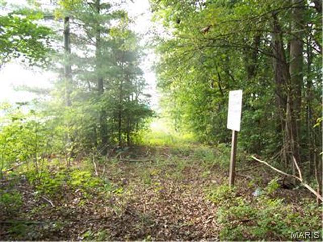 Farmington, Missouri, 63640, United States, ,Land,For Sale,1941650