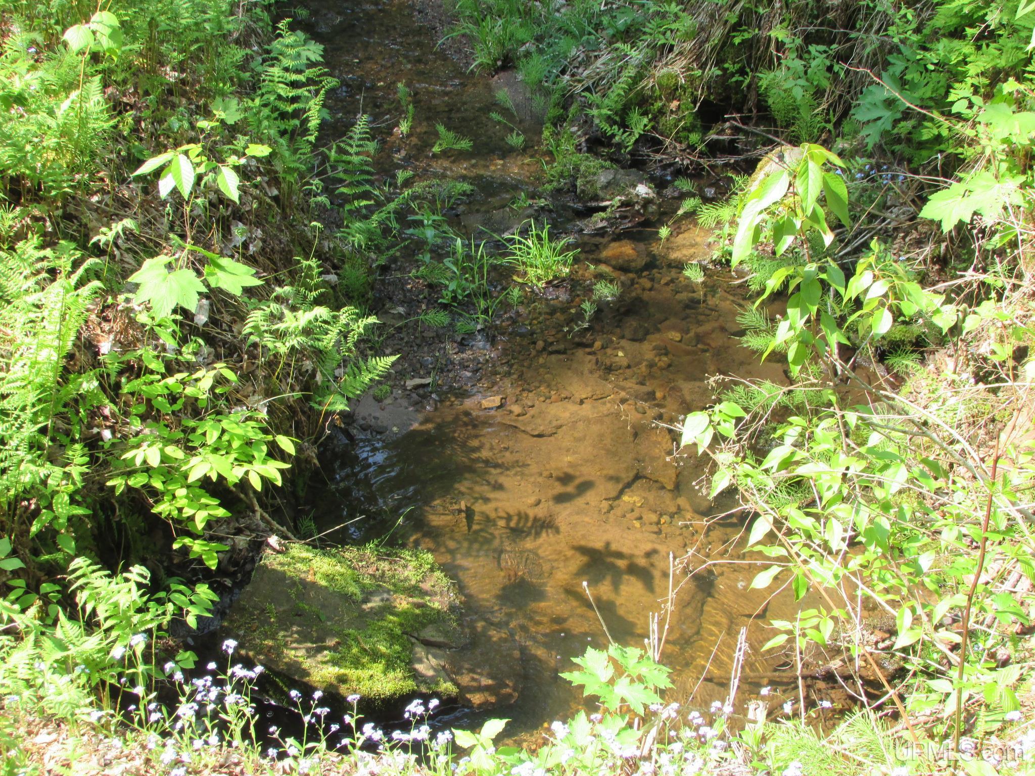 Skanee, Michigan, 49962, United States, 3 Bedrooms Bedrooms, ,2 BathroomsBathrooms,Residential,For Sale,1975456