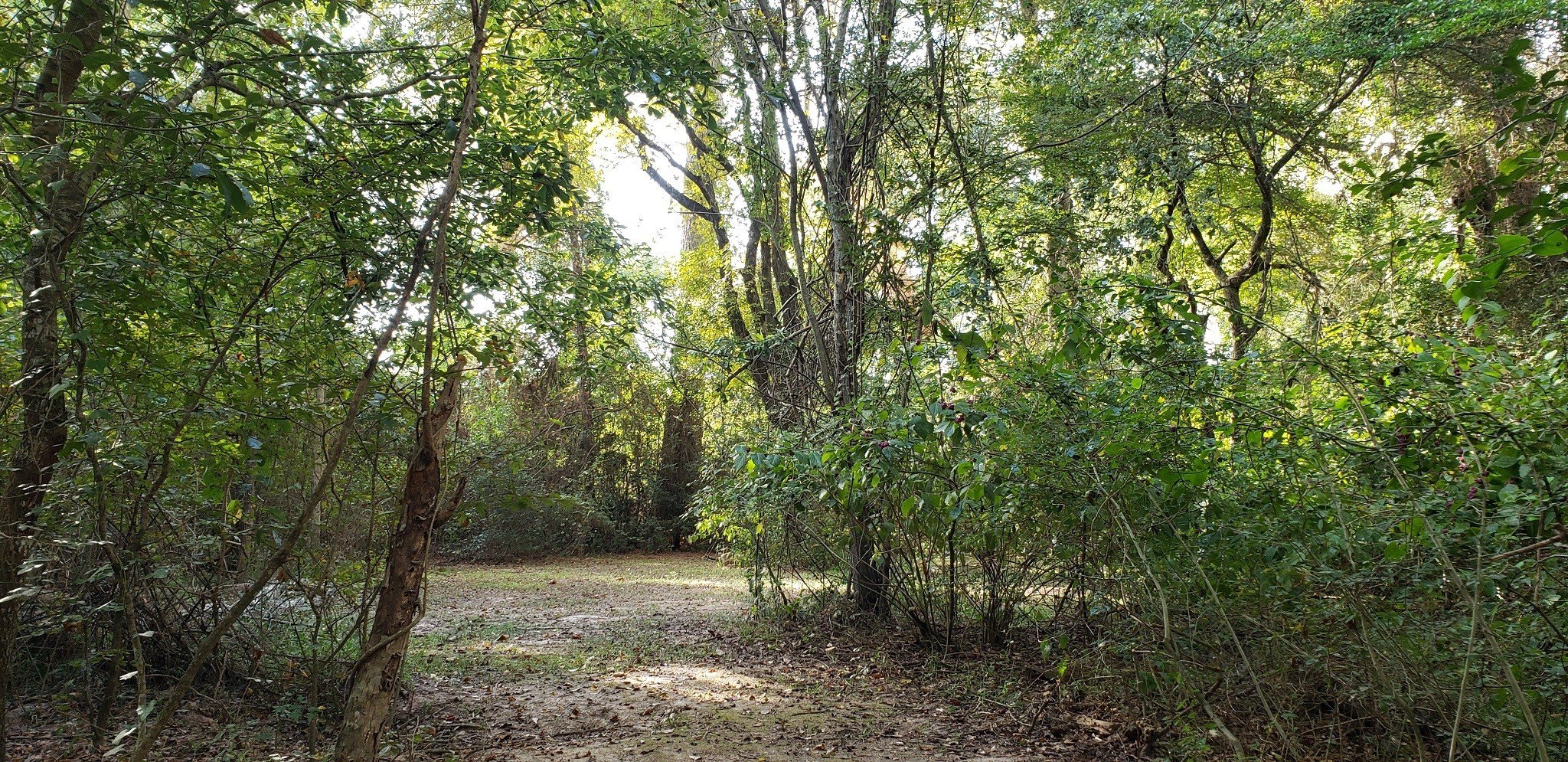 Hockley, Texas, 77447, United States, 2 Bedrooms Bedrooms, ,1 BathroomBathrooms,Residential,For Sale,1974890