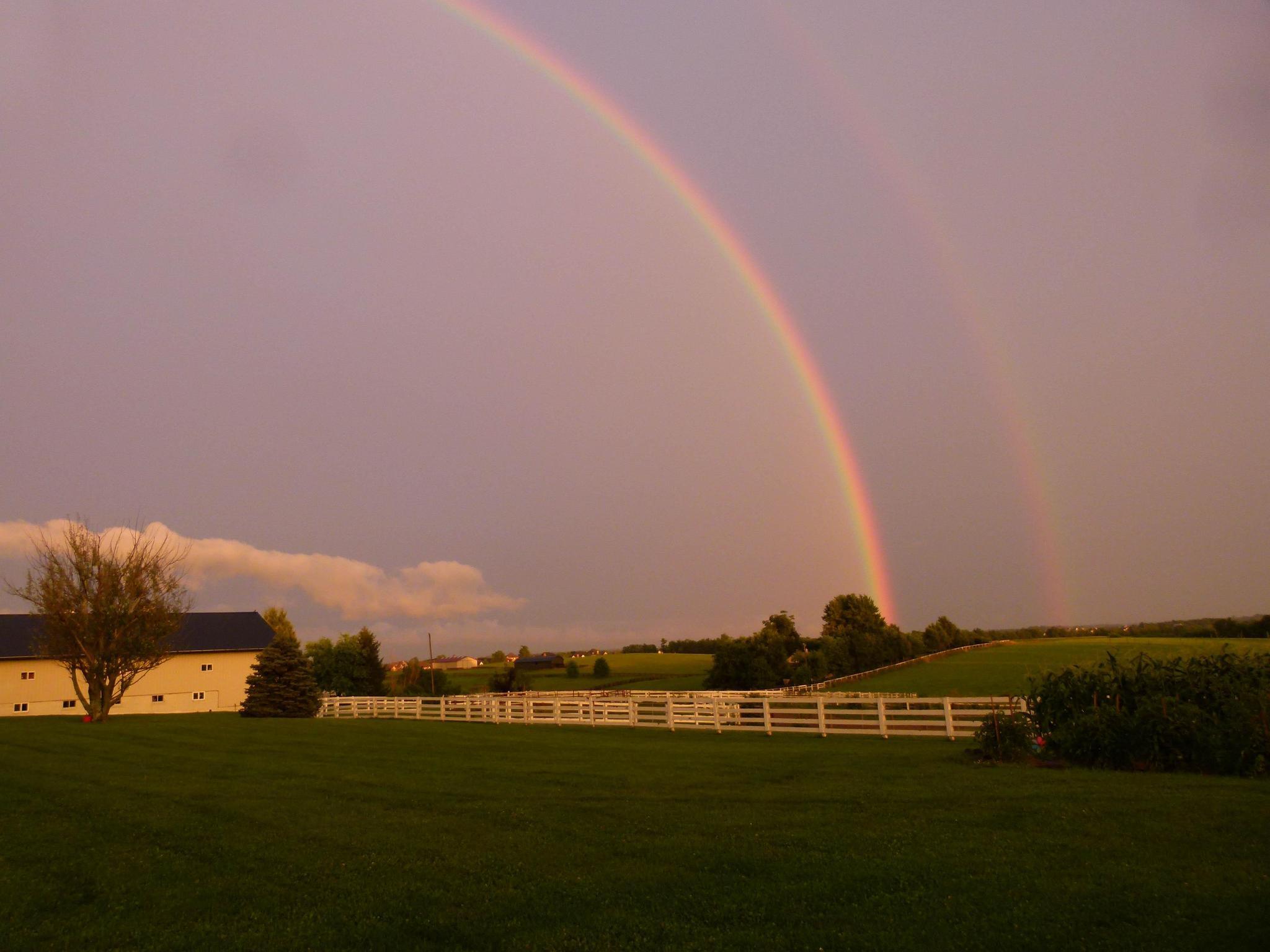 Winchester, Kentucky, 40391, United States, 3 Bedrooms Bedrooms, ,3 BathroomsBathrooms,Residential,For Sale,1992796