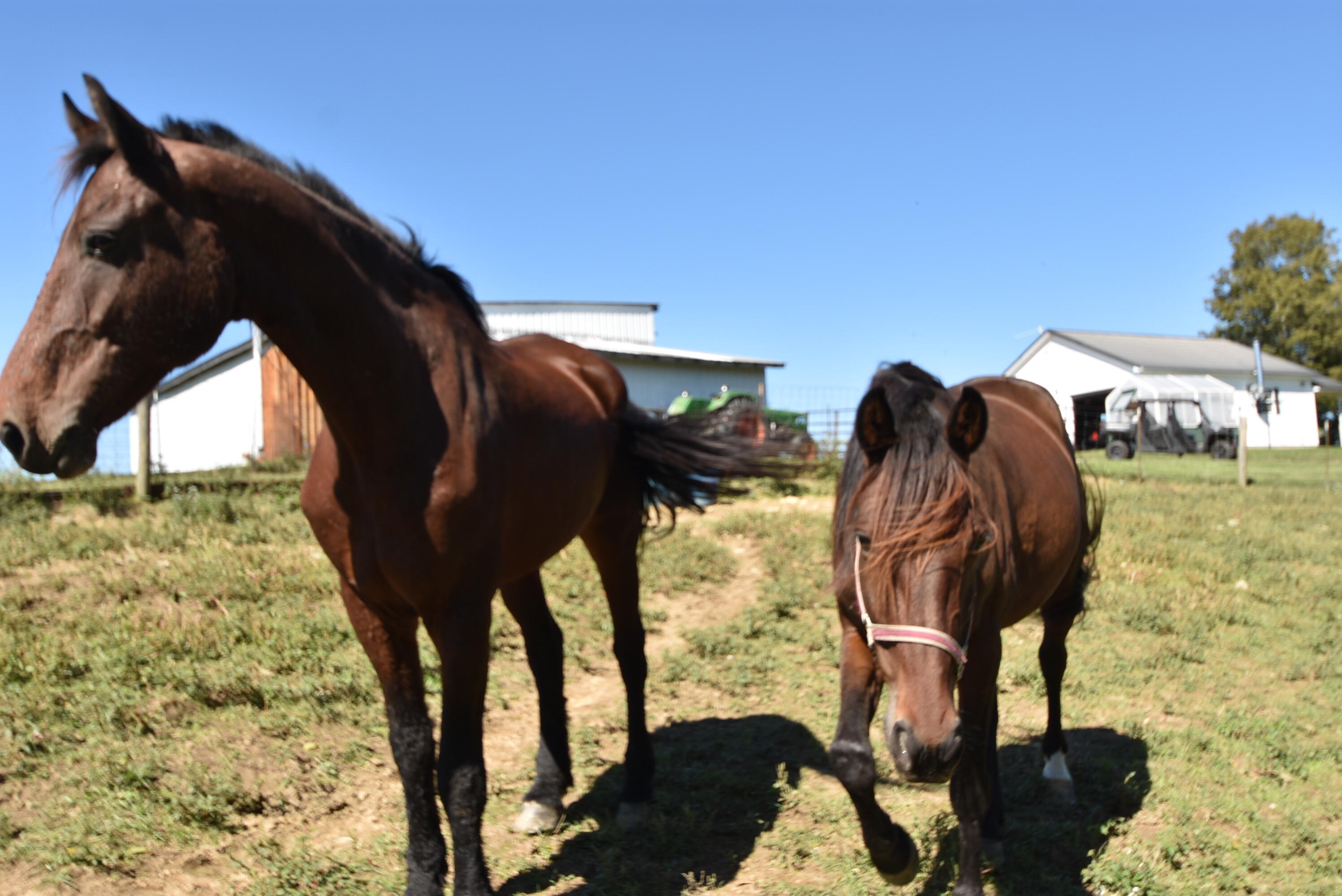 Willisburg, Kentucky, 40078, United States, 4 Bedrooms Bedrooms, ,1 BathroomBathrooms,Residential,For Sale,1962831