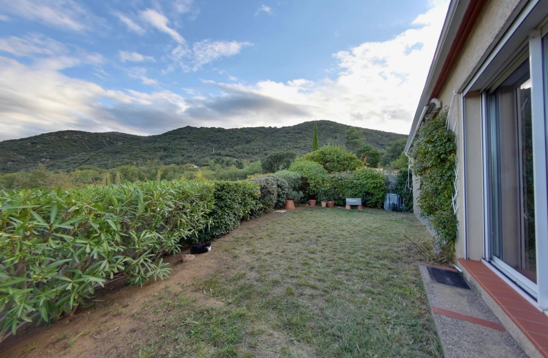 Céret, Occitanie, 66400, FR, 4 Bedrooms Bedrooms, ,4 BathroomsBathrooms,Residential,For Sale,1736383