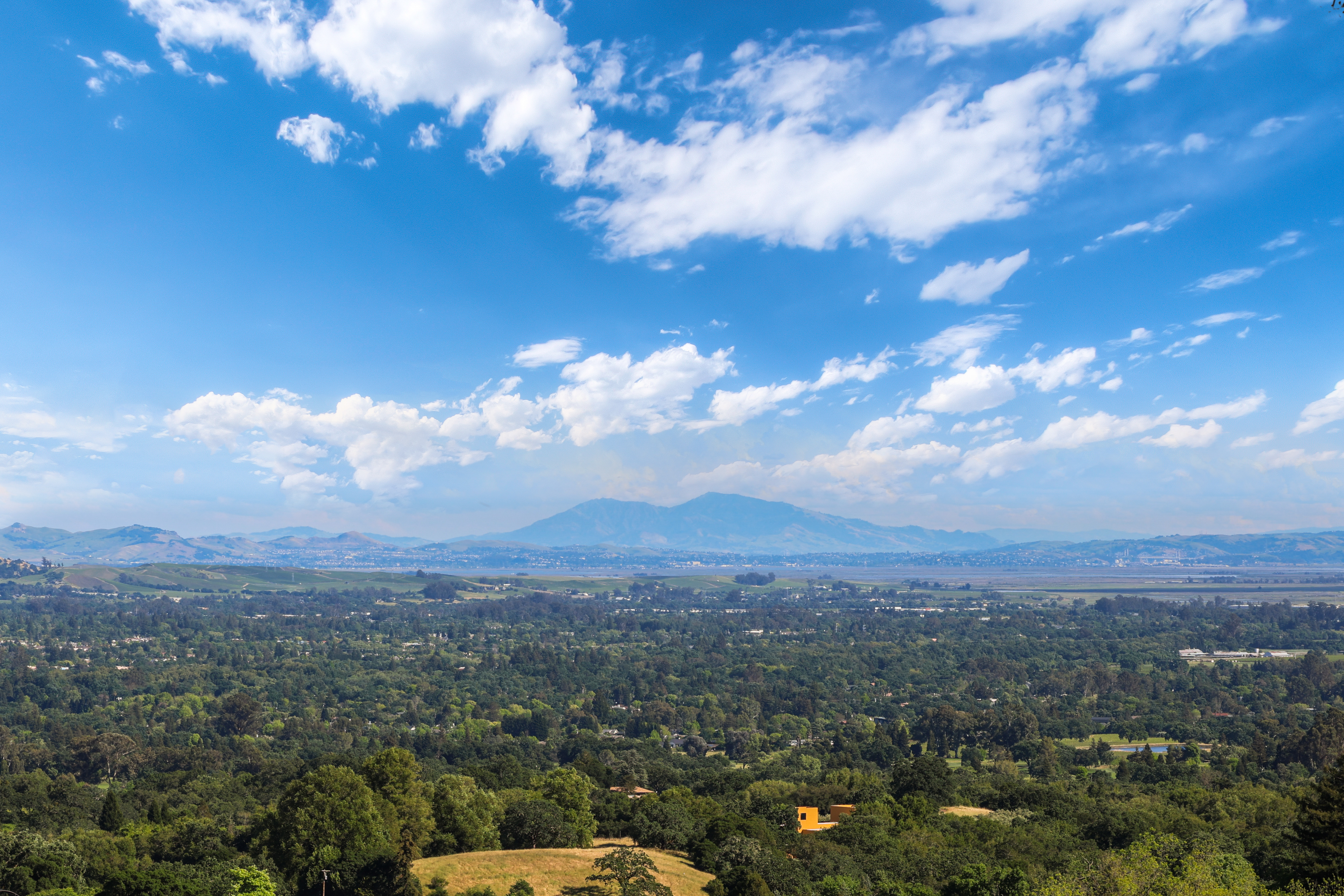  Iconic Mid-Century Retreat with Sweeping Sonoma Valley Views - 物件實景