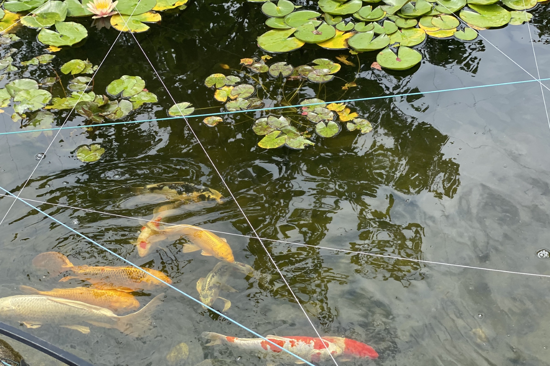  Spacious and Inviting Layout - 物件實景