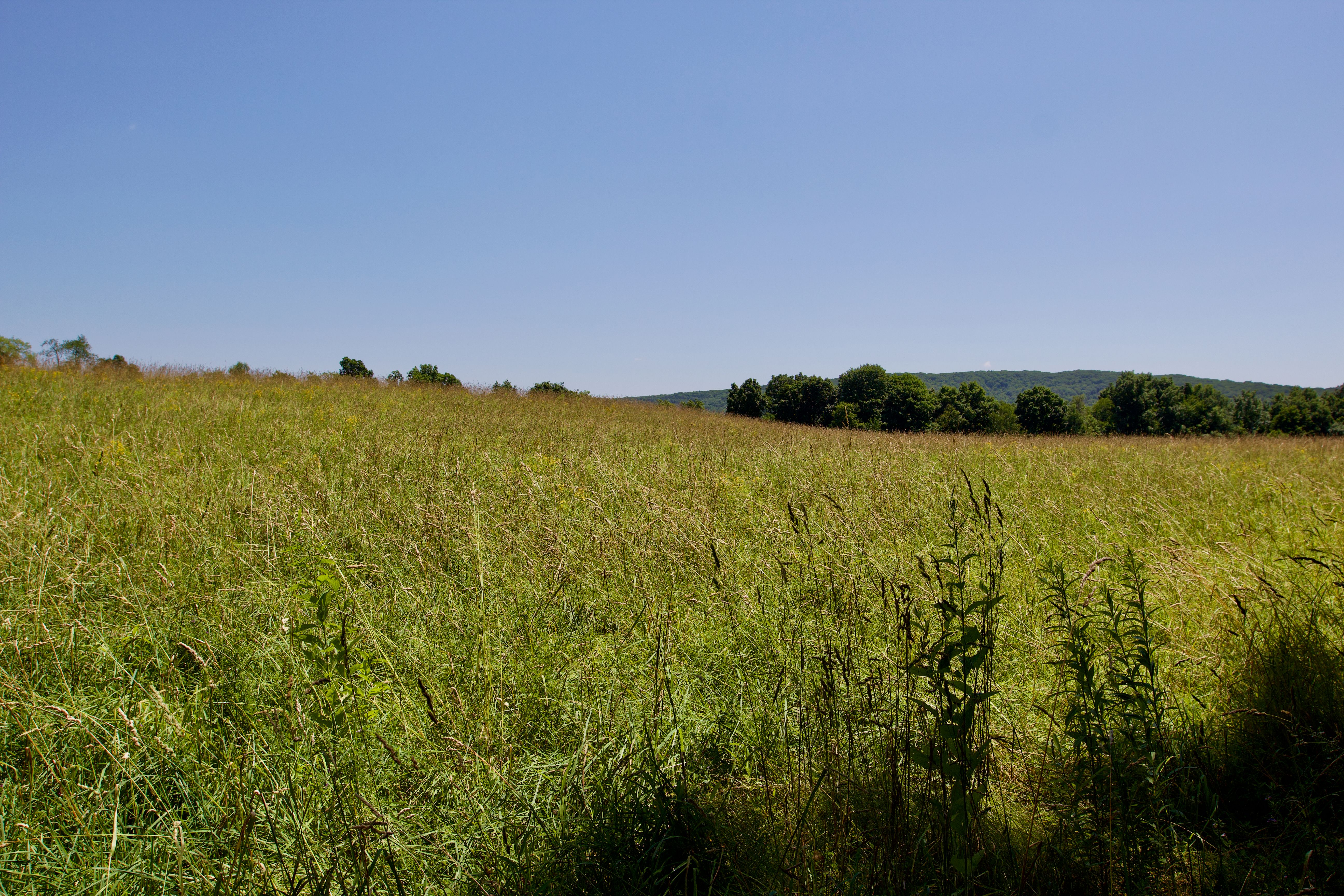  90 West End Road, Hillsdale, NY 12529 - 物件實景